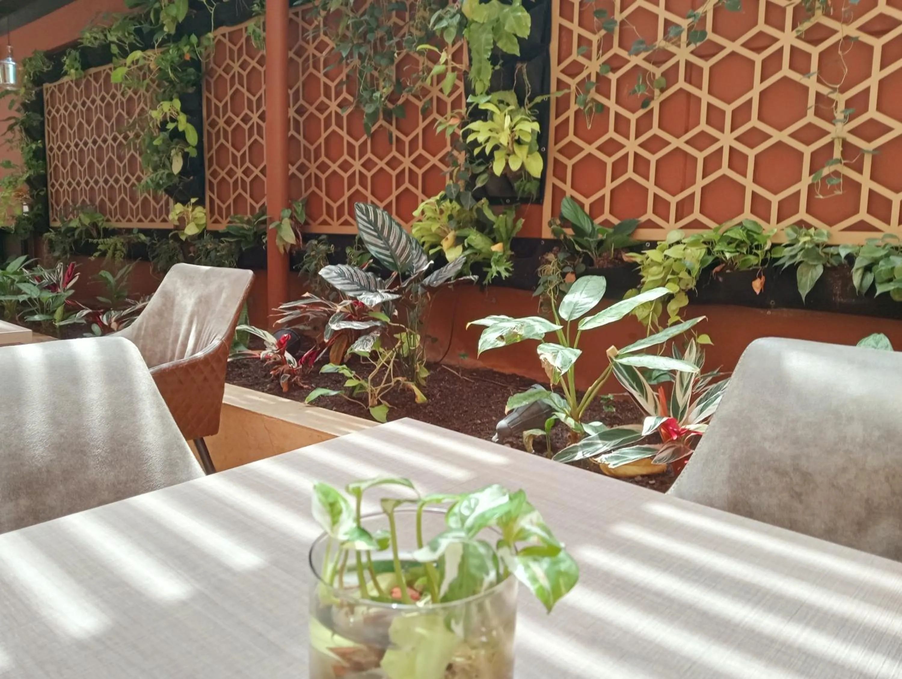 Garden in Hotel Lomas 10 Medellin