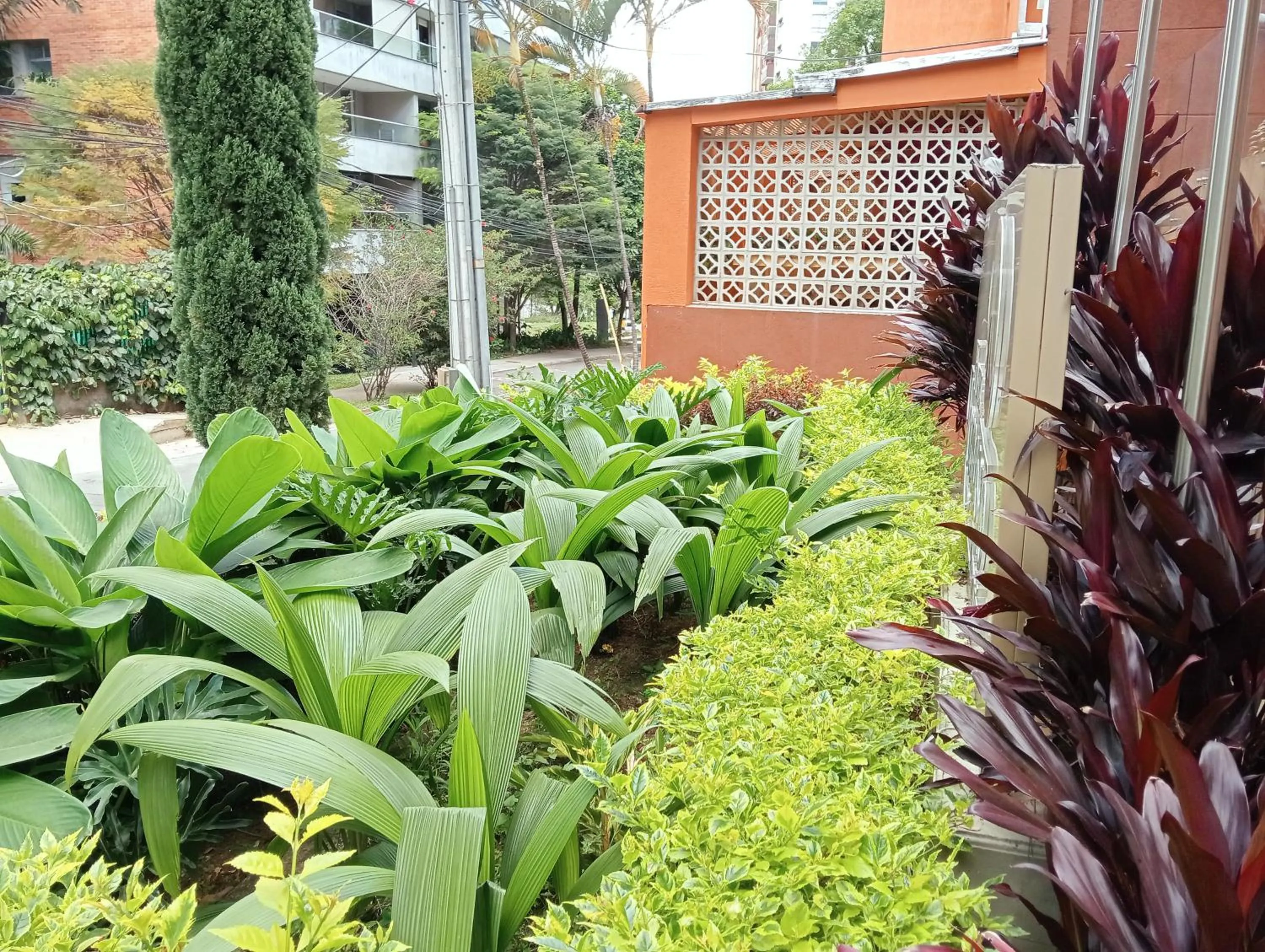 Garden in Hotel Lomas 10 Medellin