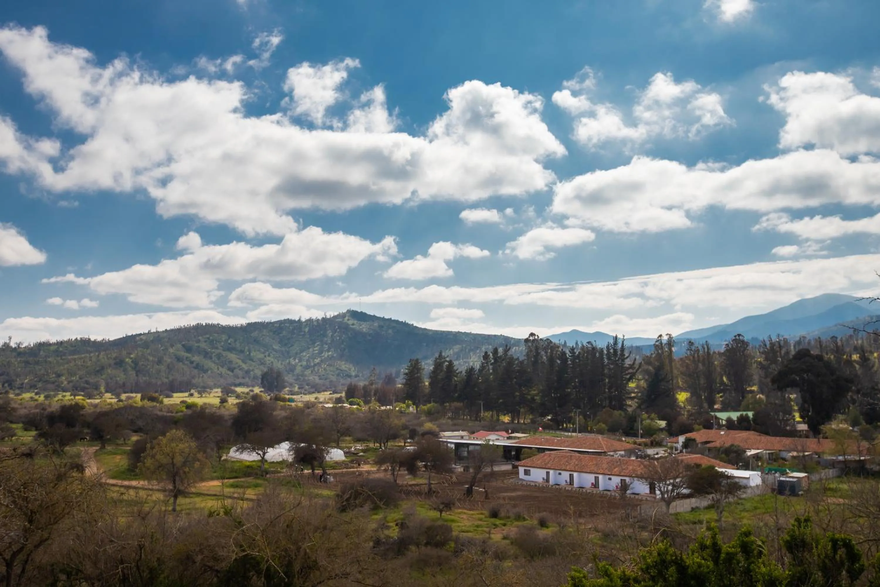 Hotel Boutique BC Wine Casablanca