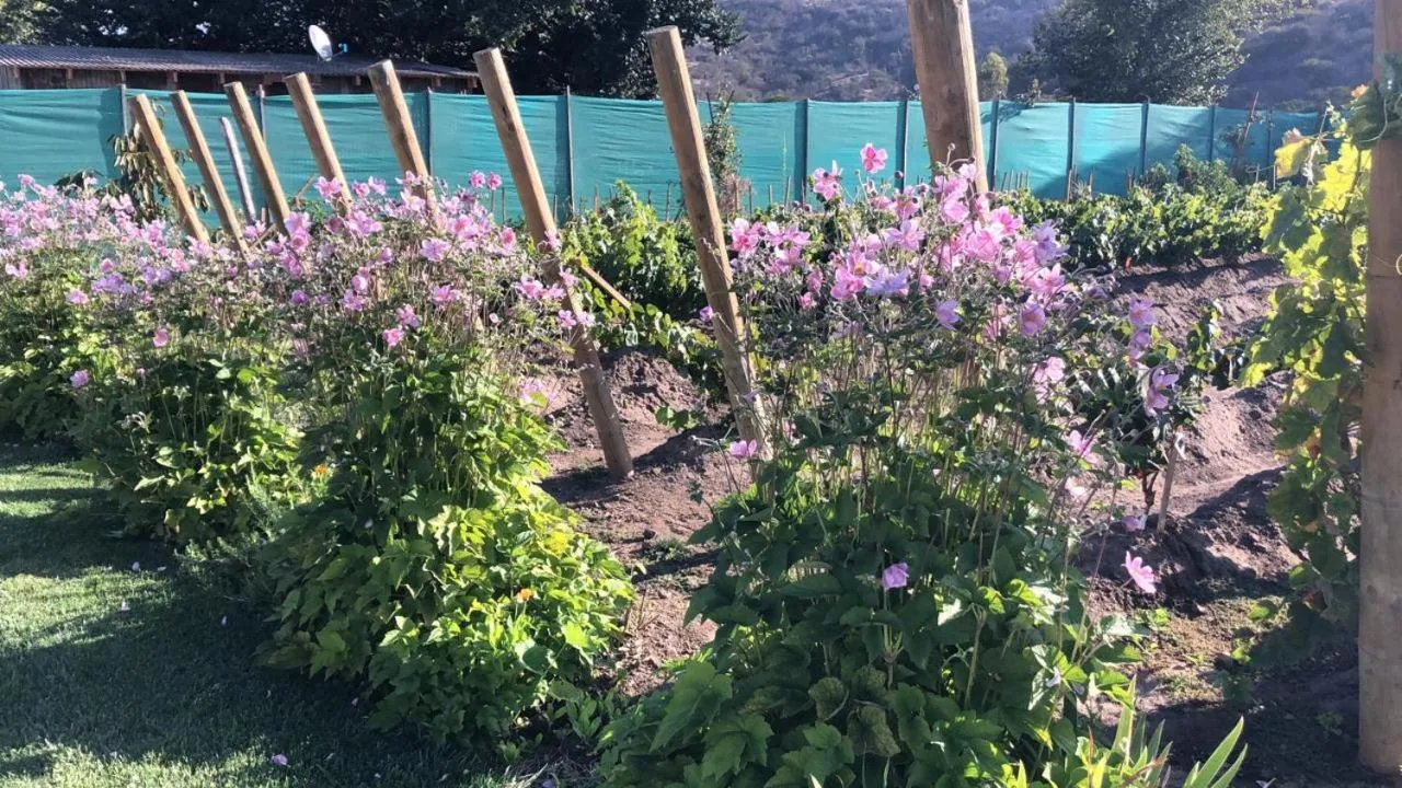 Natural landscape in Hotel Boutique BC Wine Casablanca