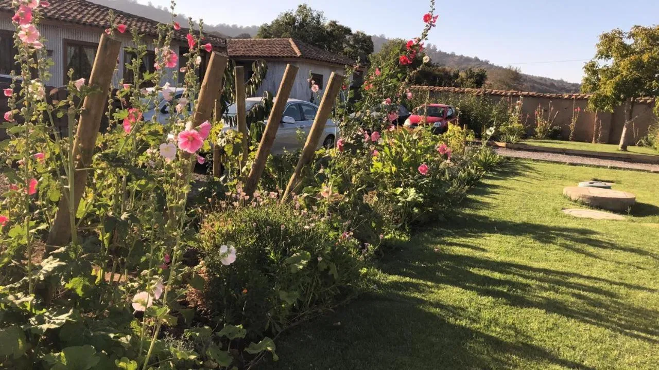 Garden in Hotel Boutique BC Wine Casablanca