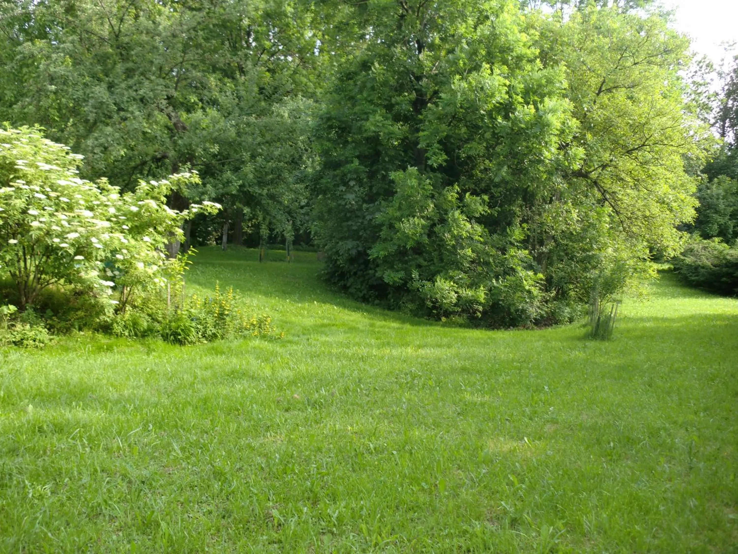 Natural landscape in Lawendowa Dolina