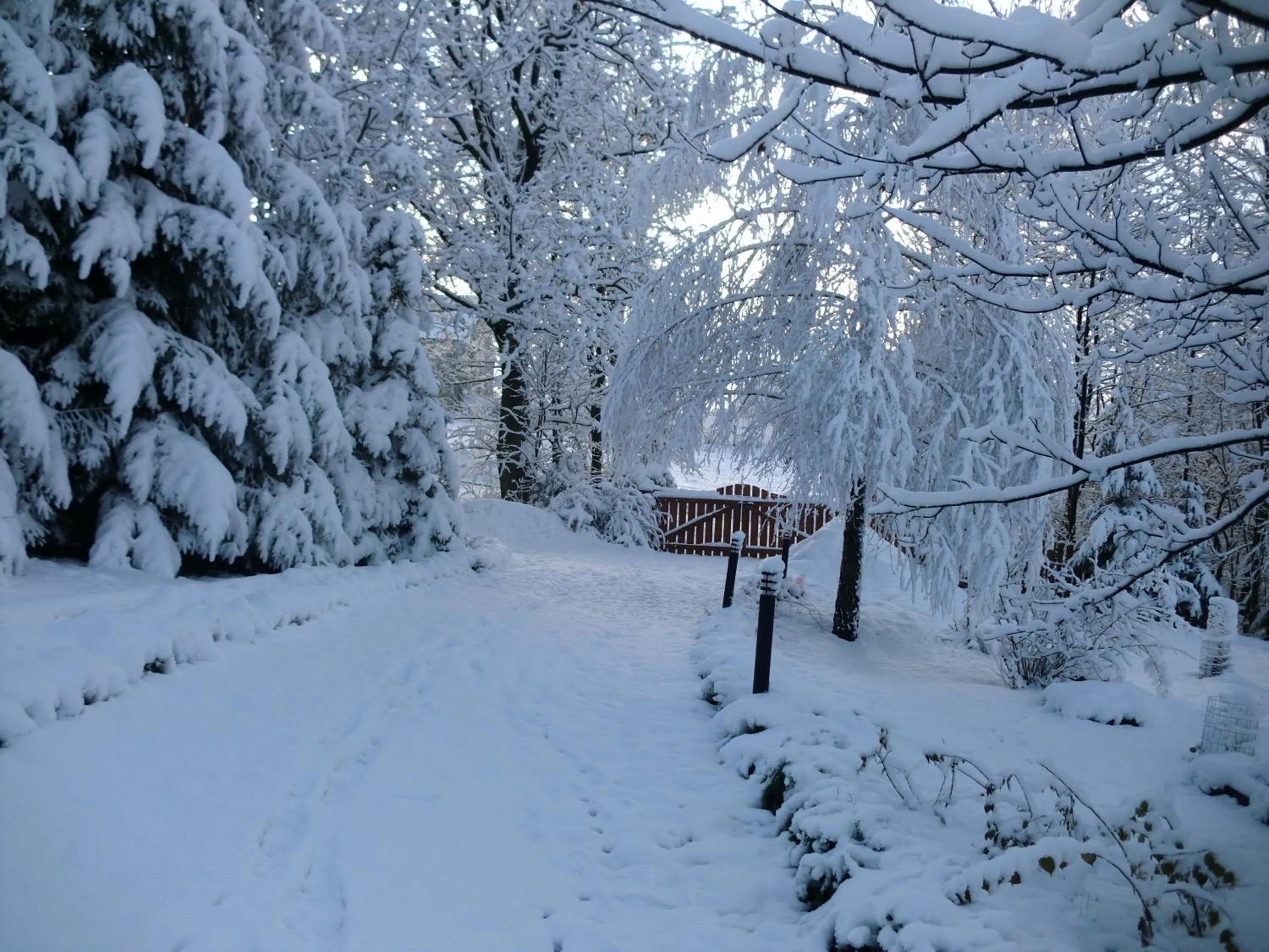 Neighbourhood in Lawendowa Dolina