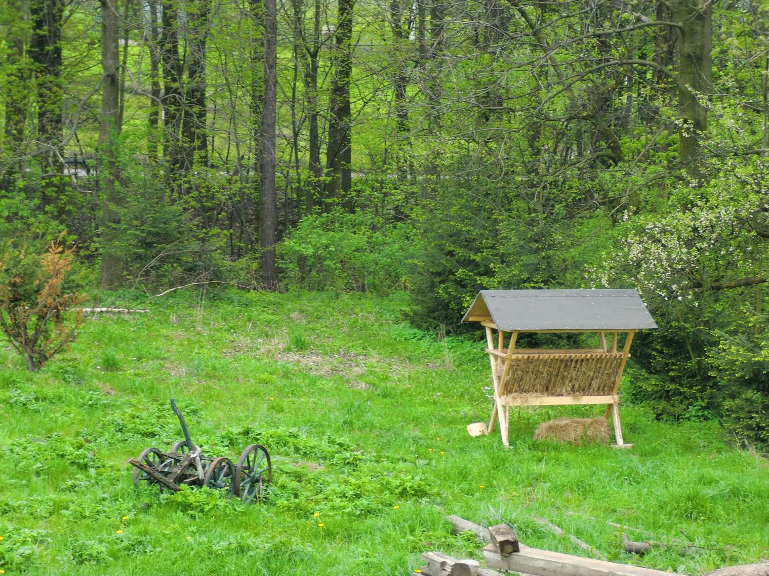 Garden view in Lawendowa Dolina
