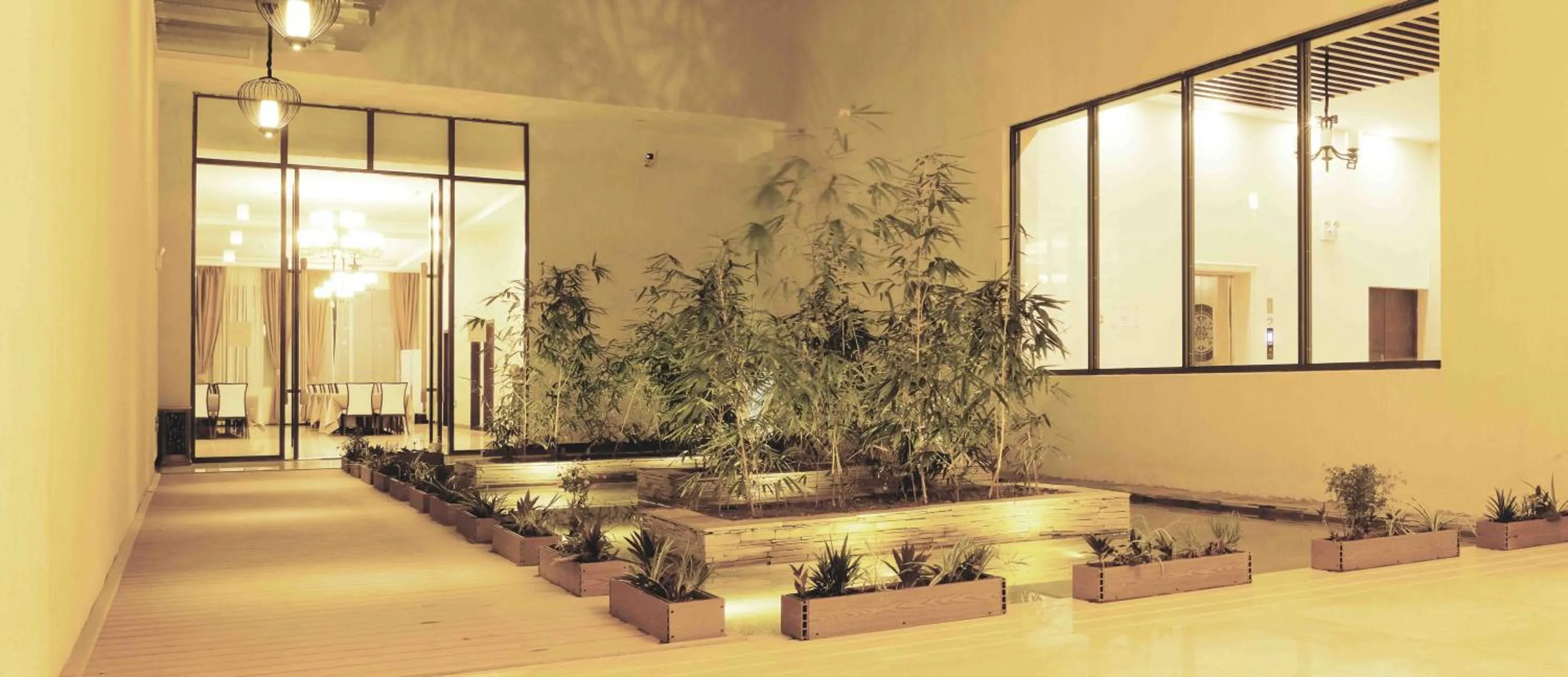 Garden in Dmall Hotel