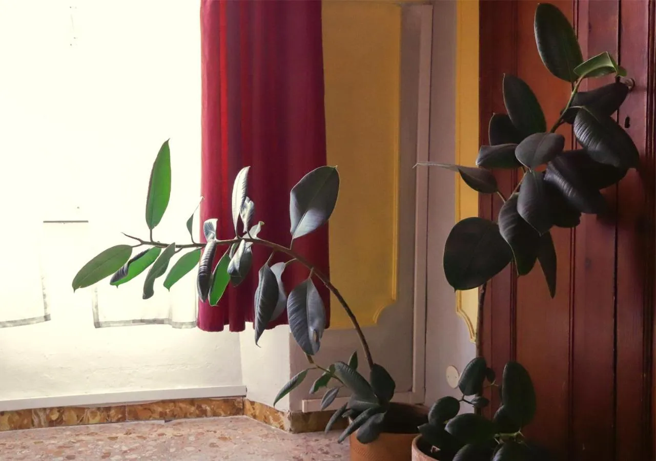 Decorative detail in Retrò B&B