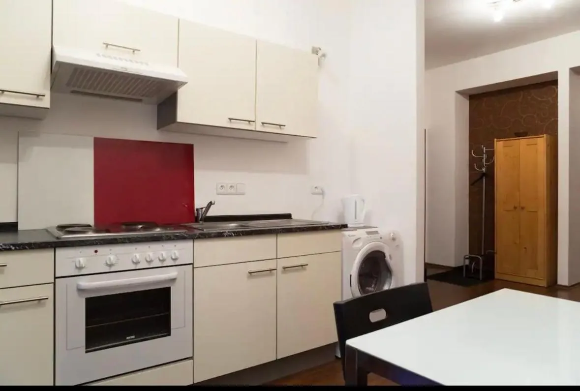 stove in Kukucinova Apartments