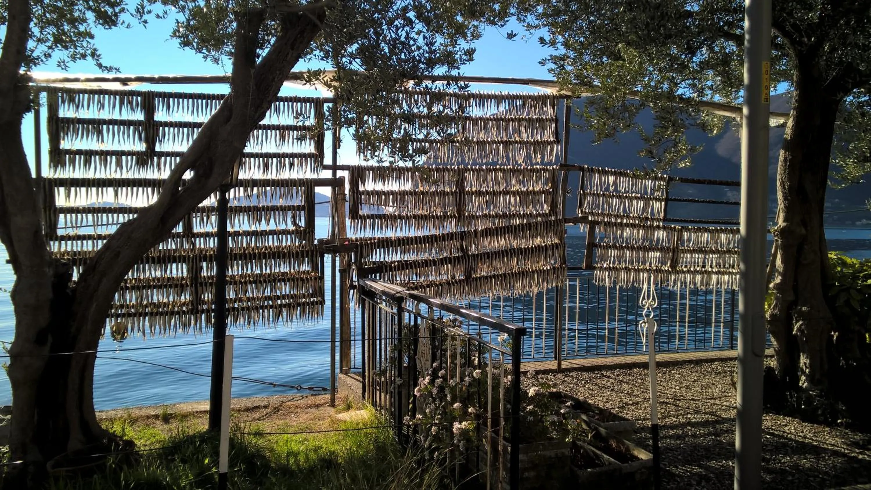 Natural landscape in Residenza Borgo Antico