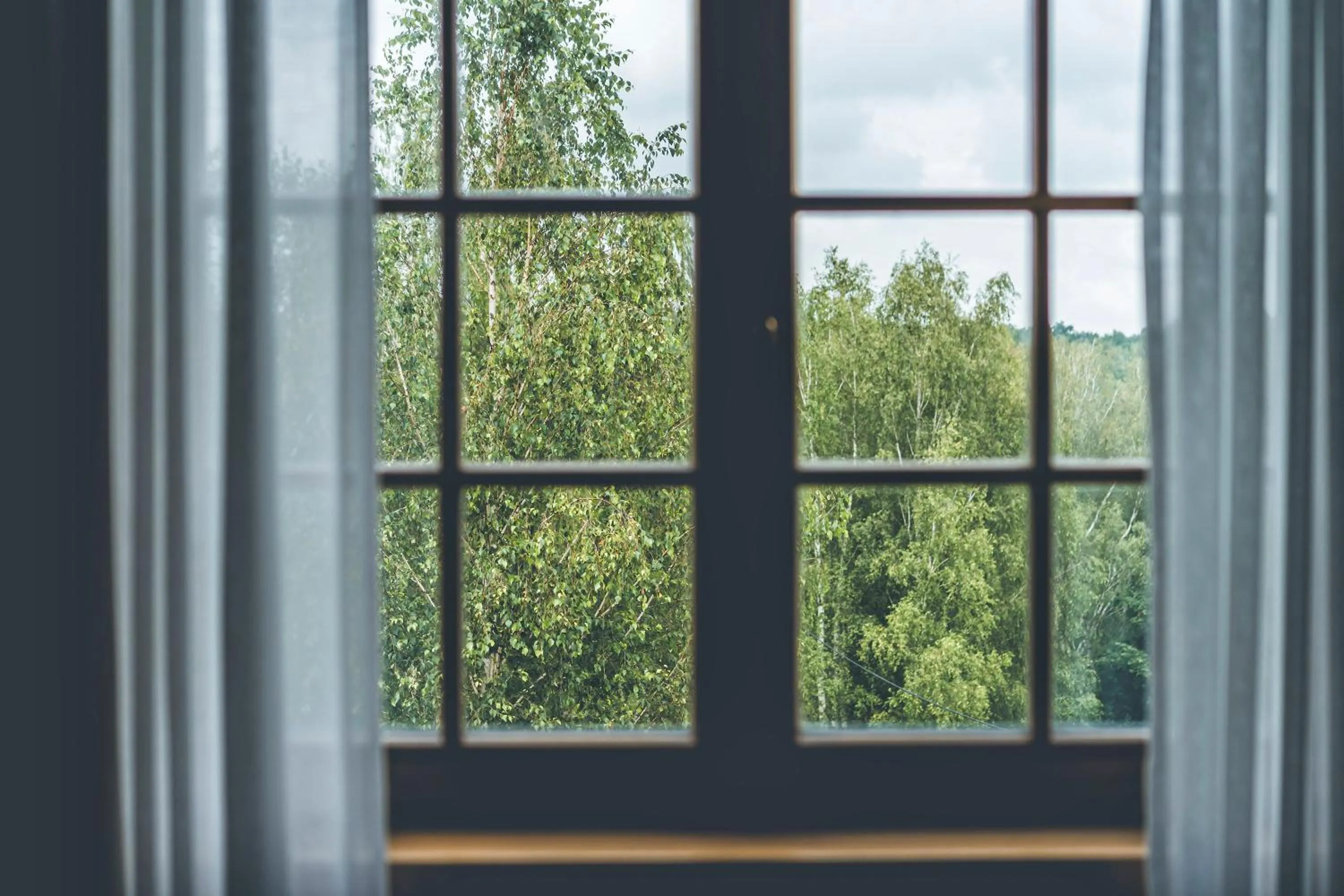 Spring in Łubinowe Wzgórze Dom II