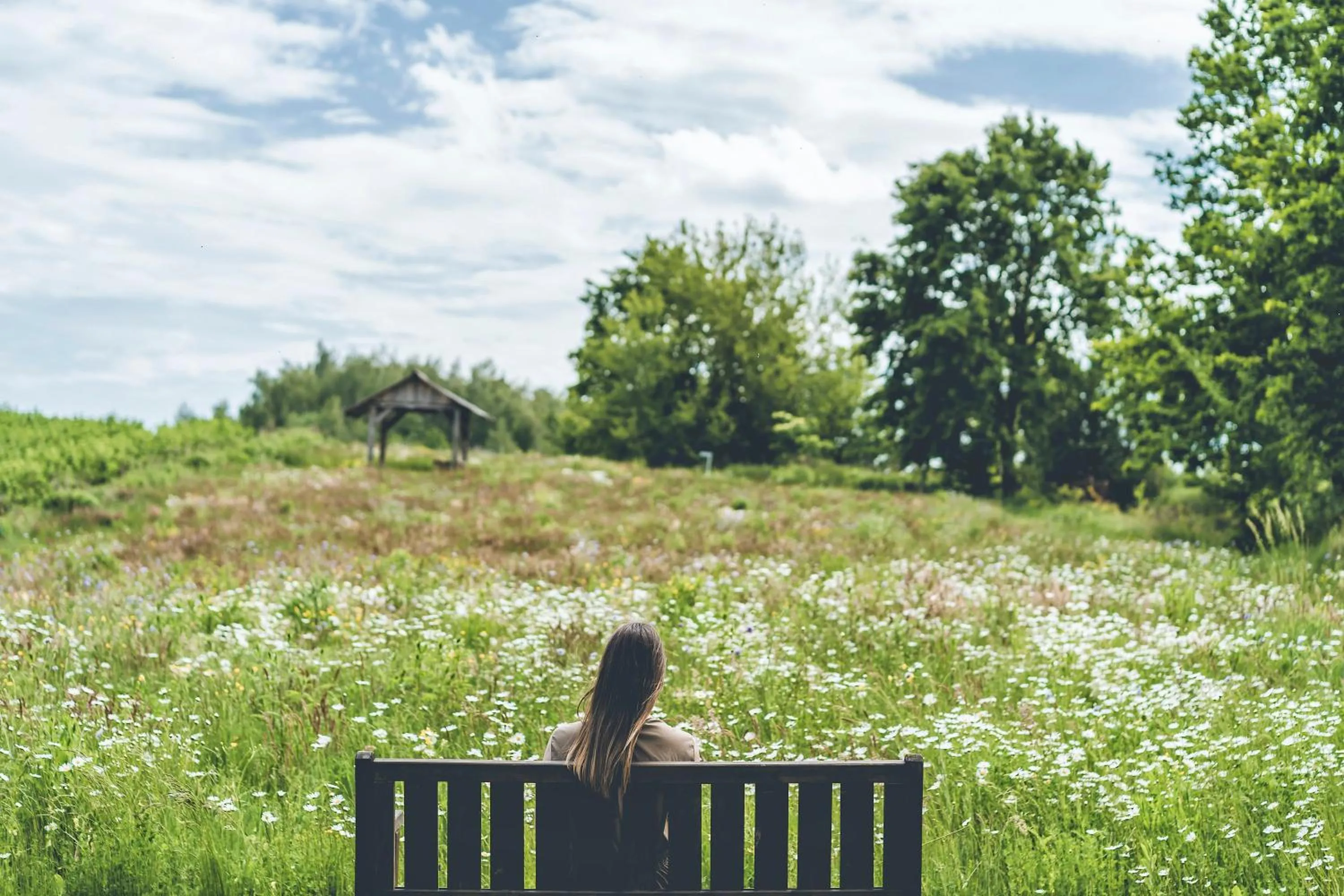 Natural landscape in Łubinowe Wzgórze Dom II