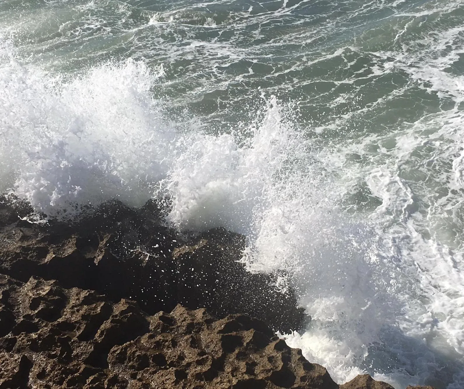 Beach in Coral