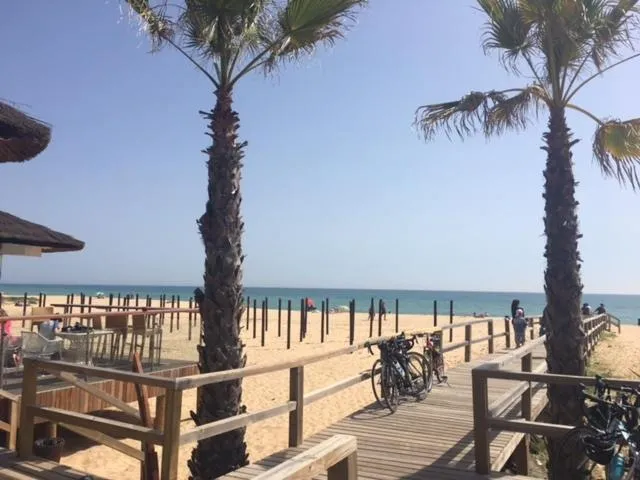Beach in Coral