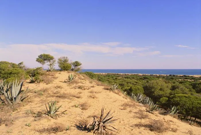 Area and facilities in Hotel Quino