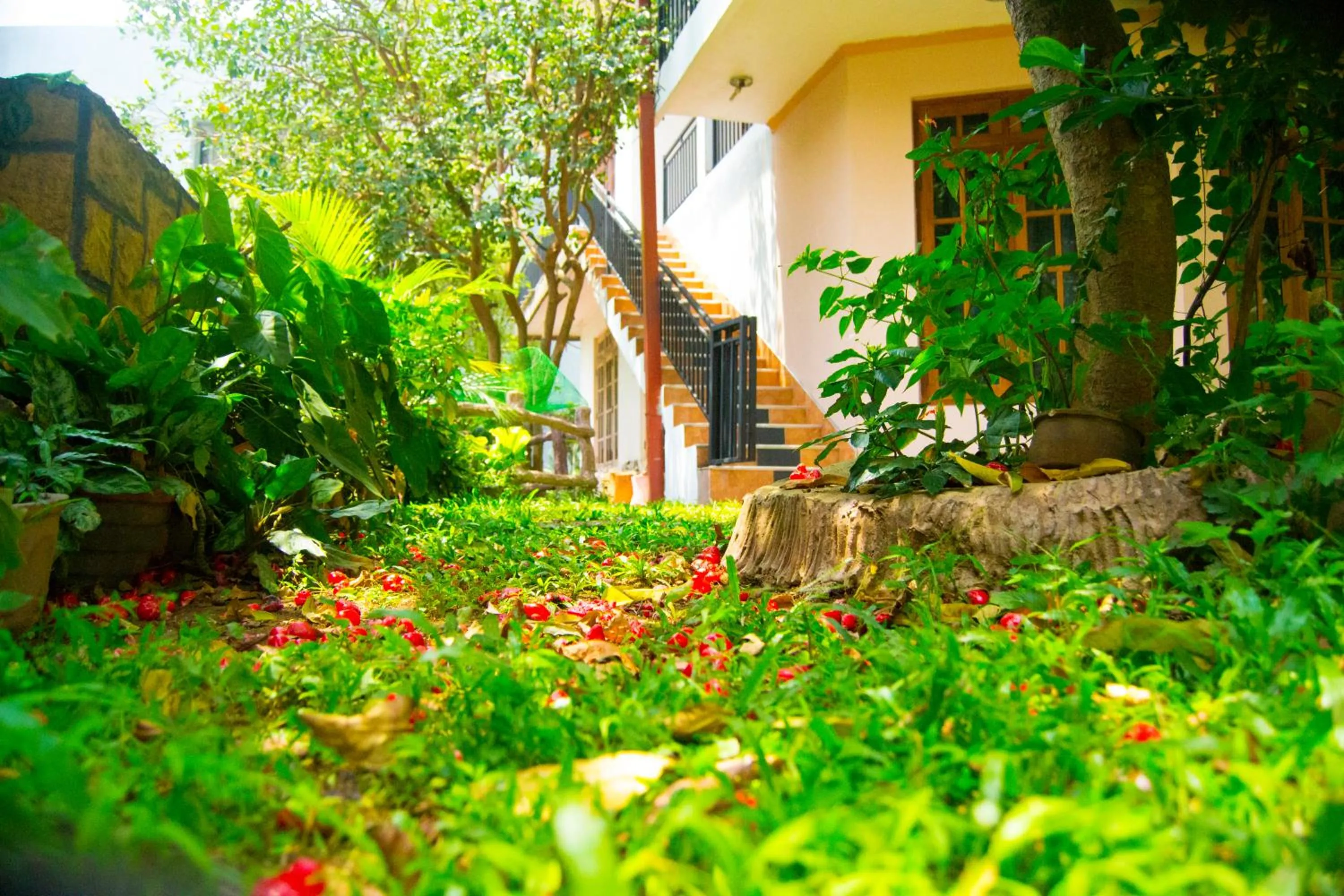 Property building in Heavens Door Guest Inn