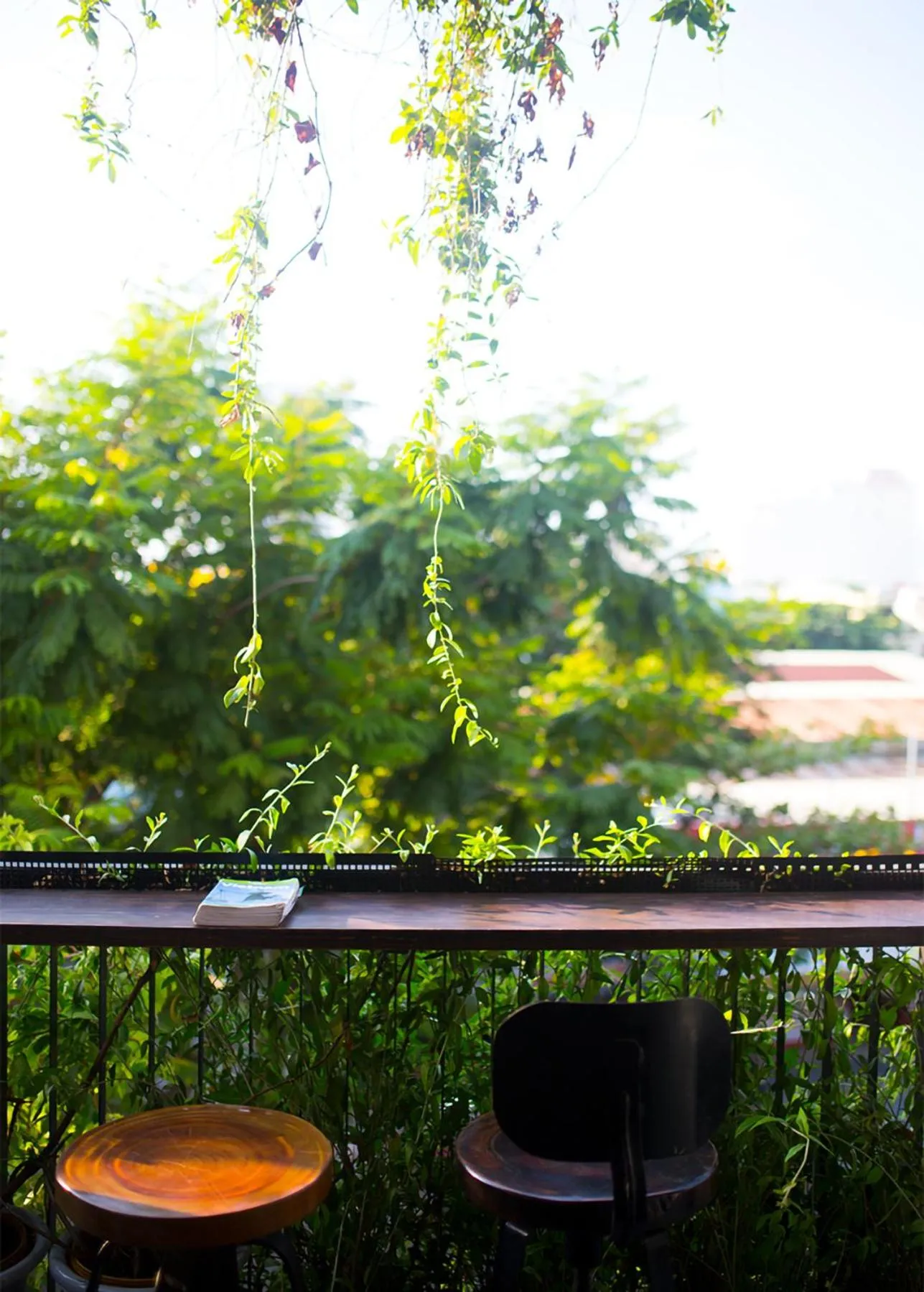 Day in Kon-Tiki DaNang Hostel