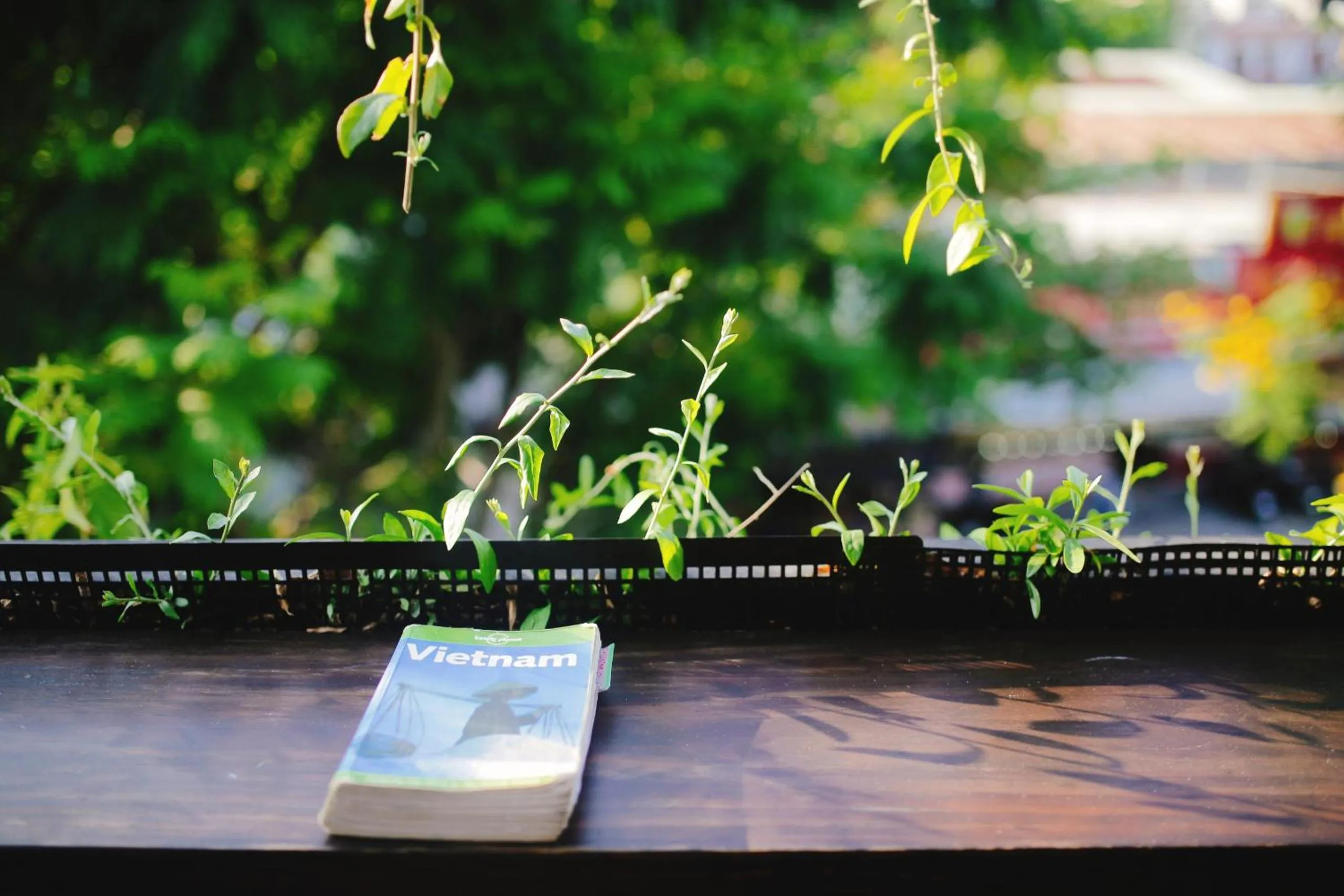 Balcony/Terrace in Kon-Tiki DaNang Hostel