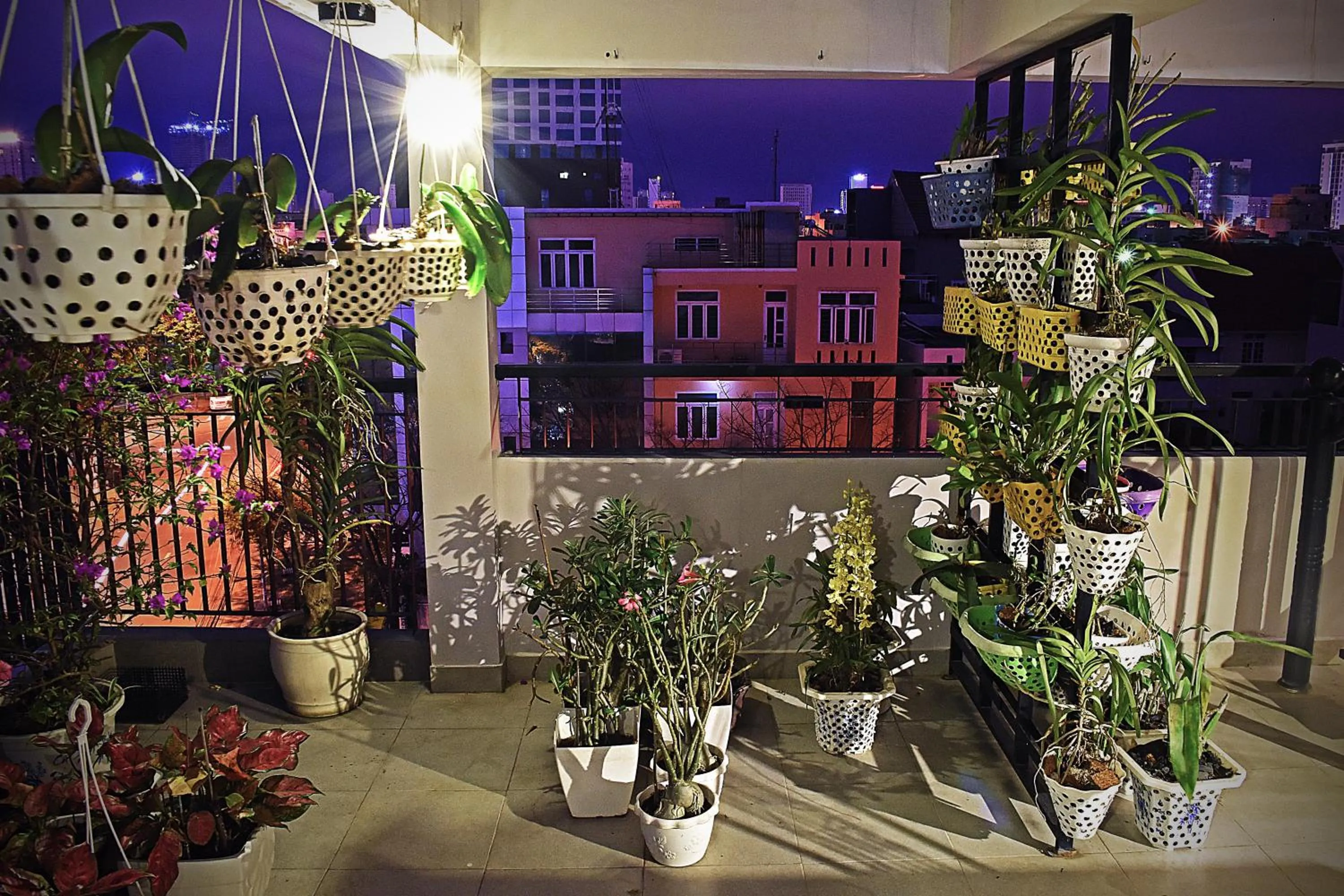 Balcony/Terrace in Kon-Tiki DaNang Hostel