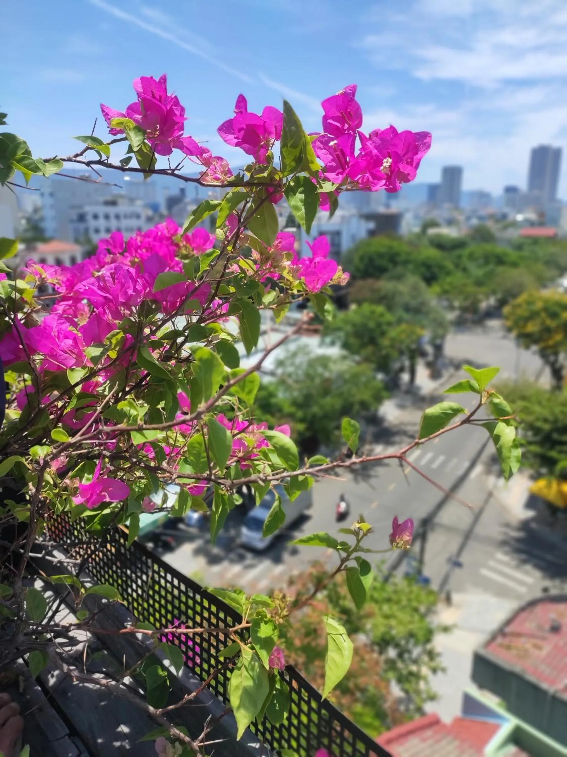 Neighbourhood in Kon-Tiki DaNang Hostel