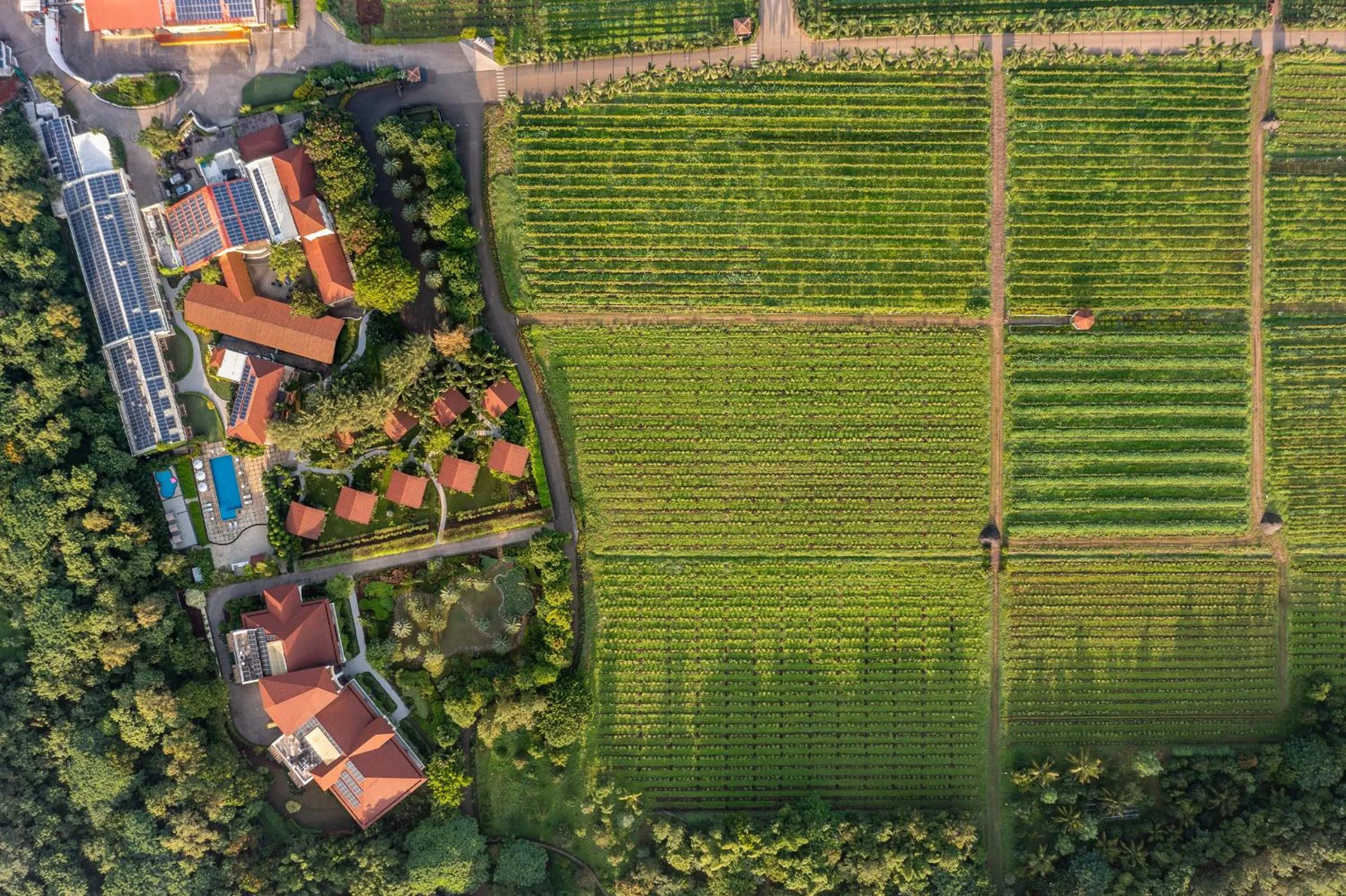 View (from property/room) in The Source At Sula
