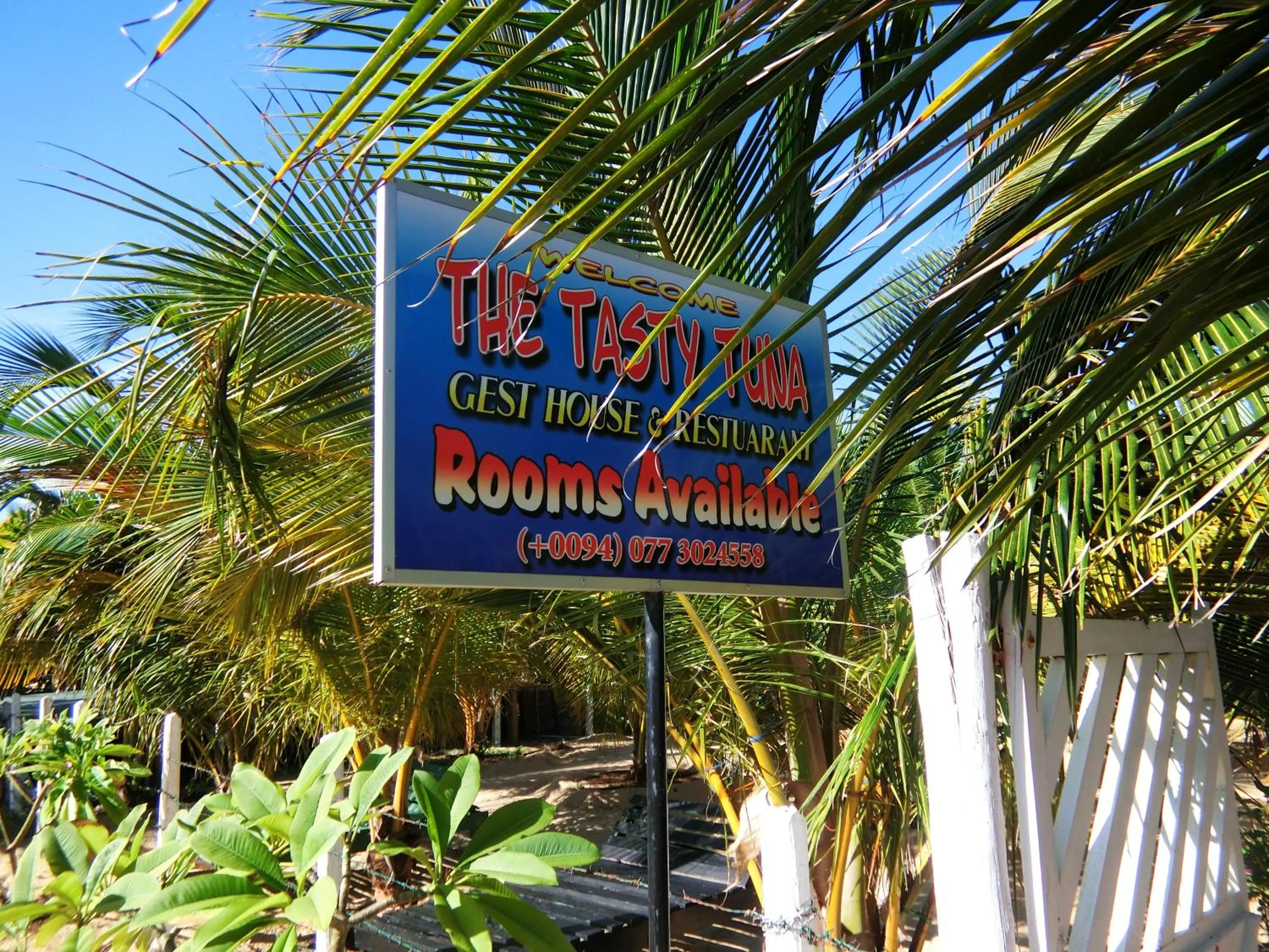 On site in The Tasty Tuna Cabana