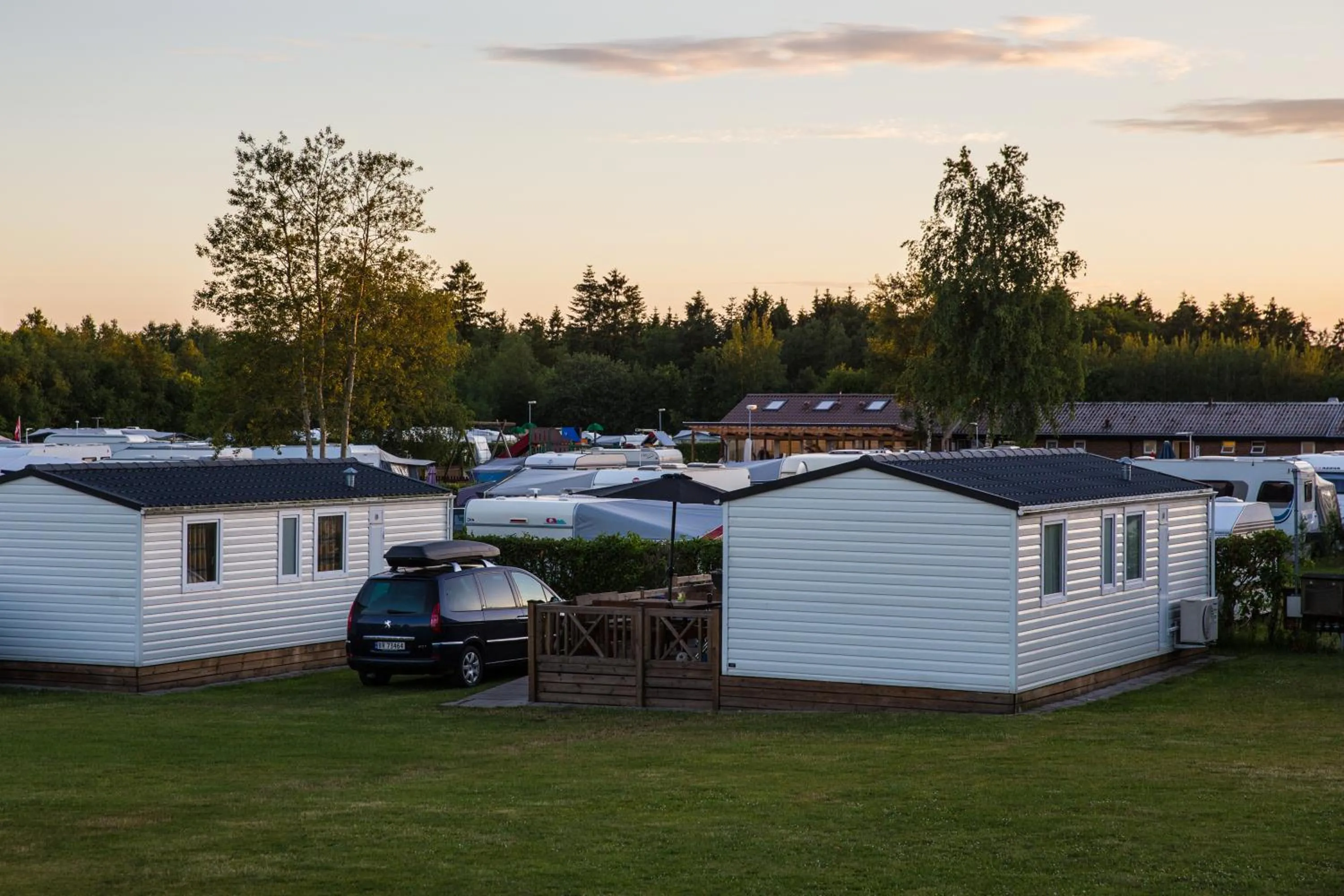 Natural landscape in Vorbasse camping