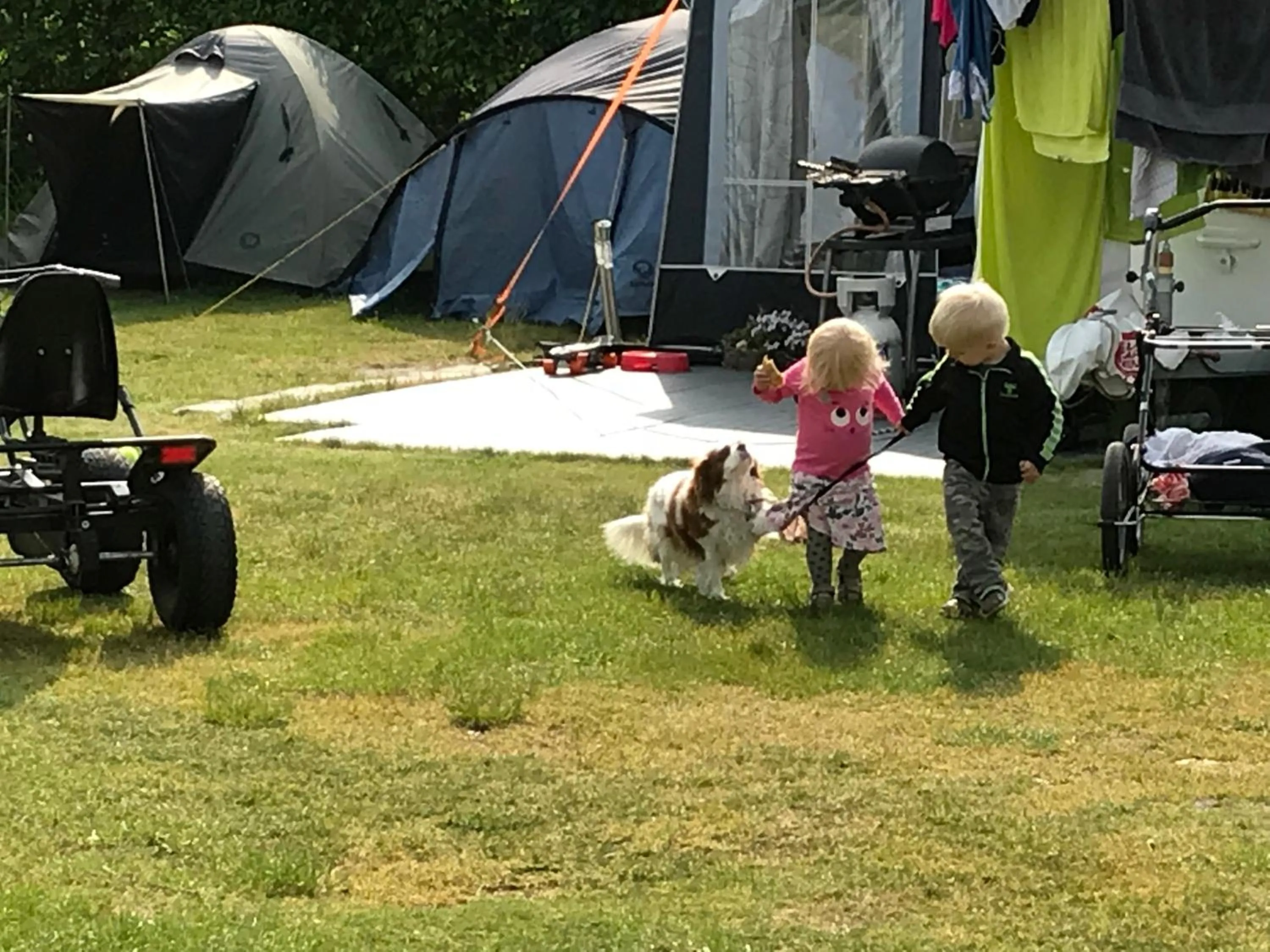 group of guests in Vorbasse camping