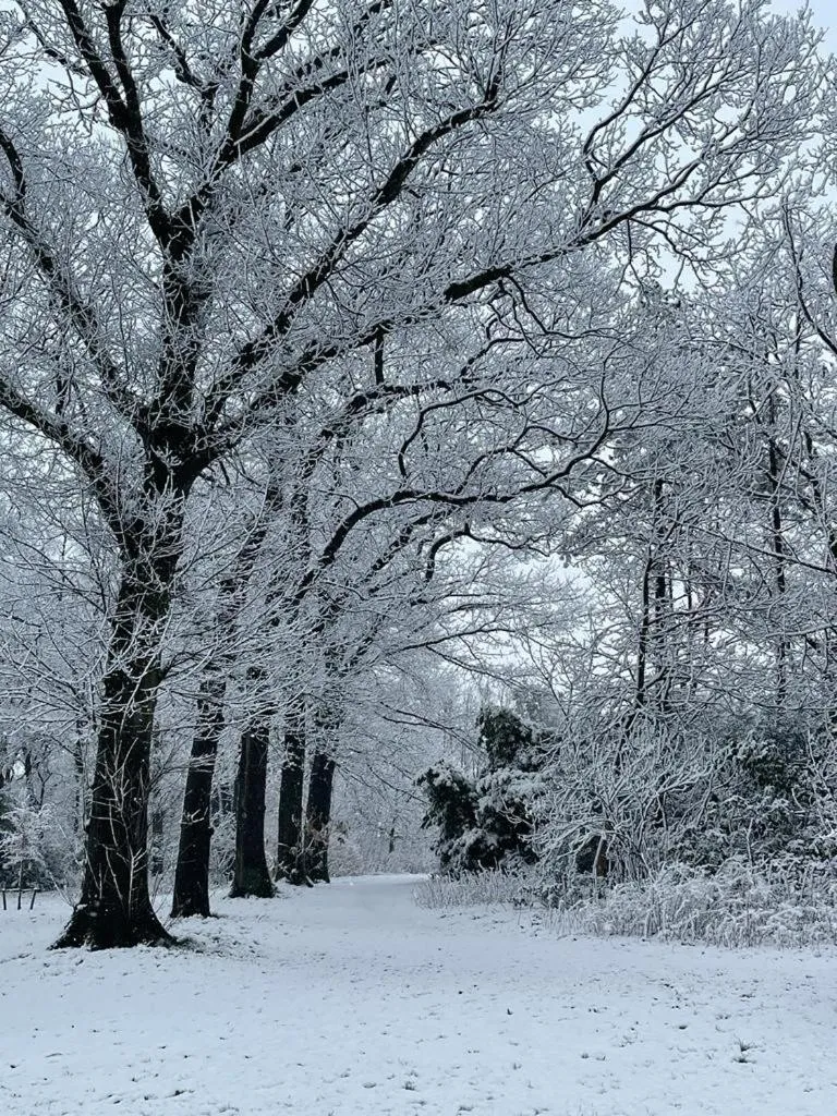 Winter in B&B Domein Rodin