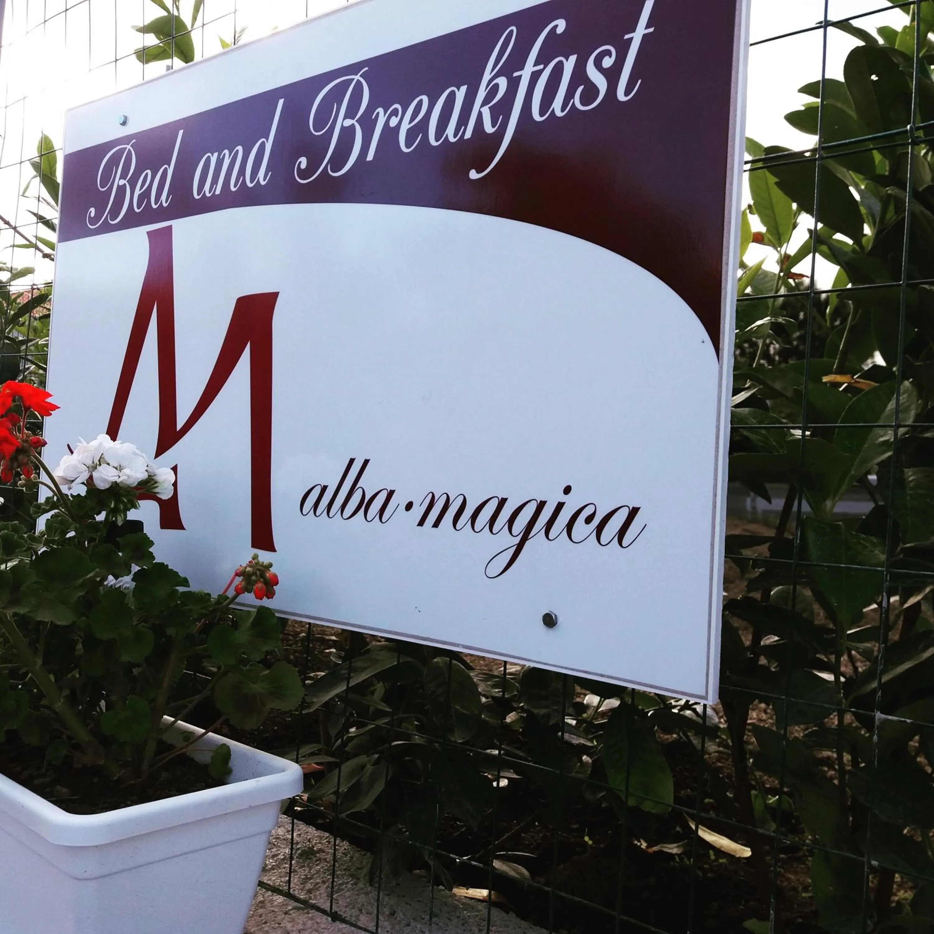 Logo/Certificate/Sign in Alba Magica