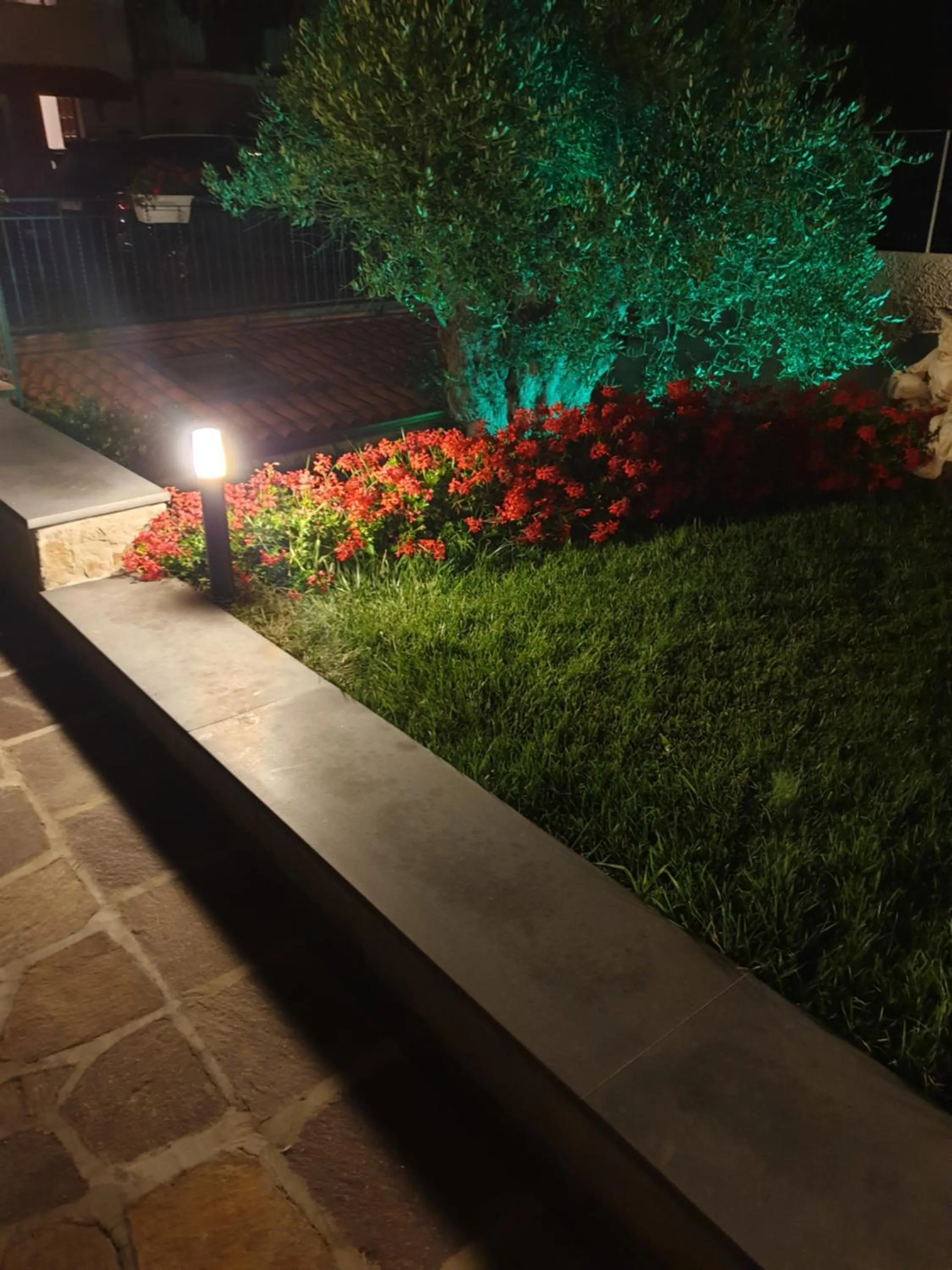 Garden in Alba Magica