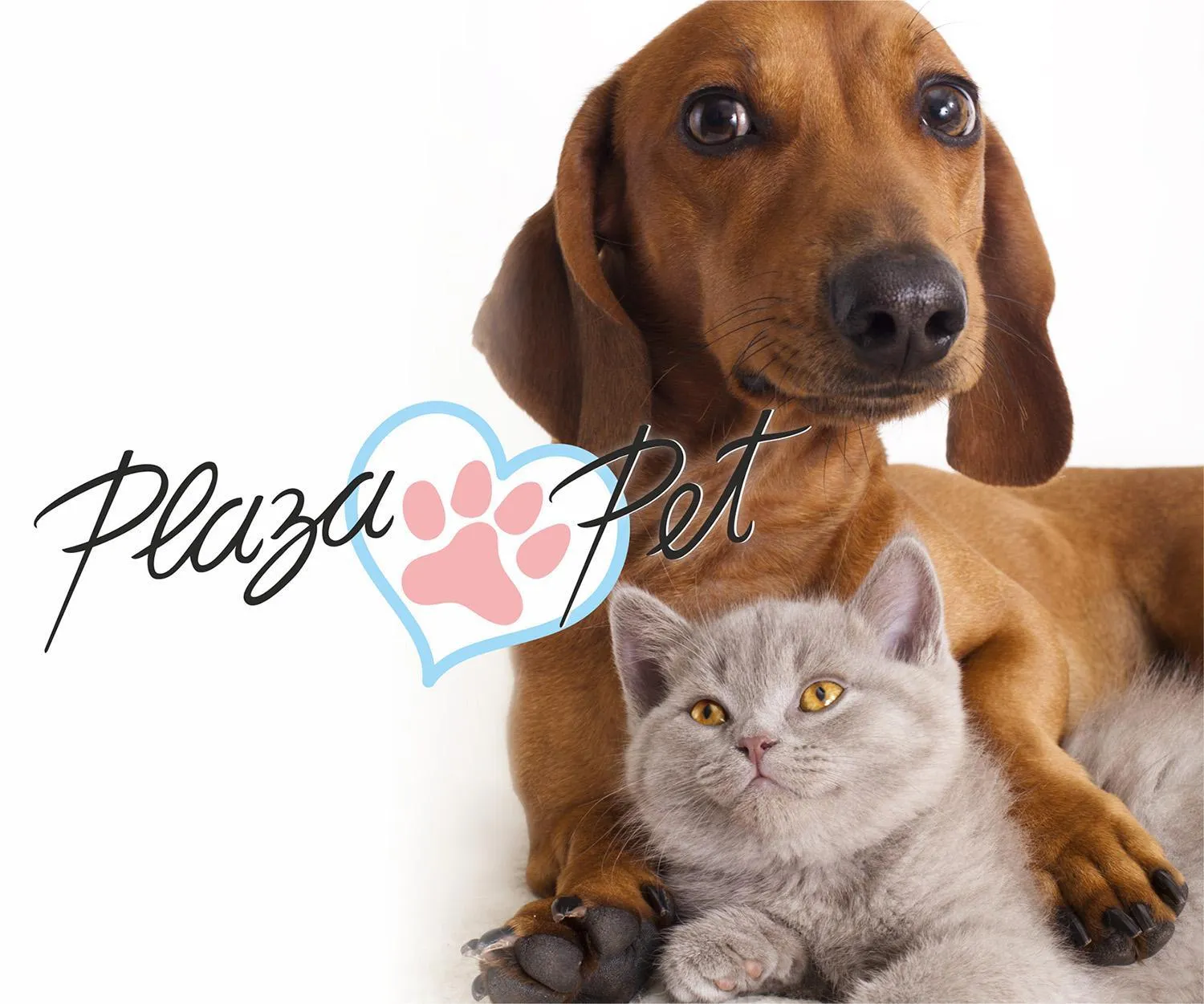 Animals in Plaza Rio Residences - Barra First