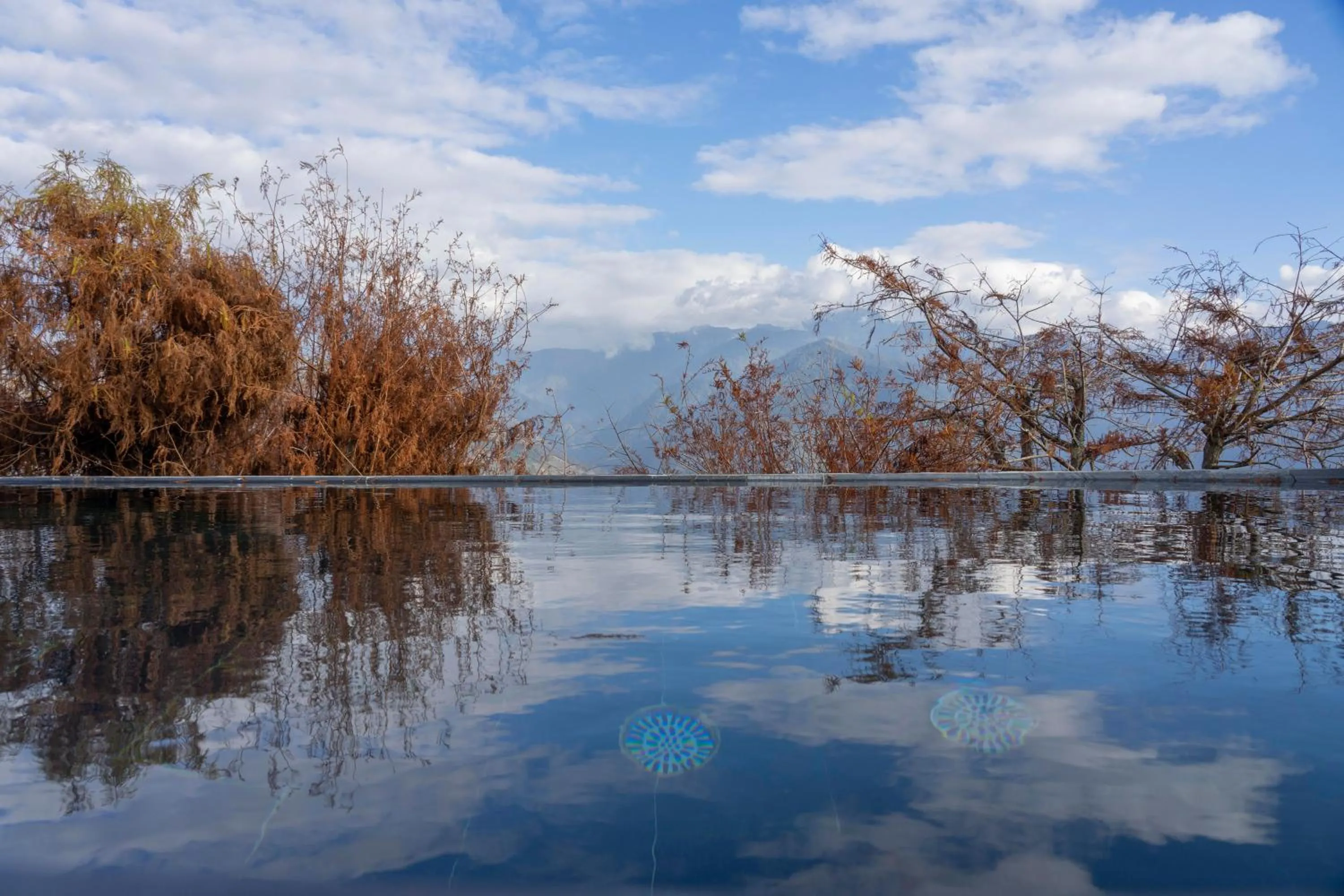 Pool view in Provence Rose Lodge