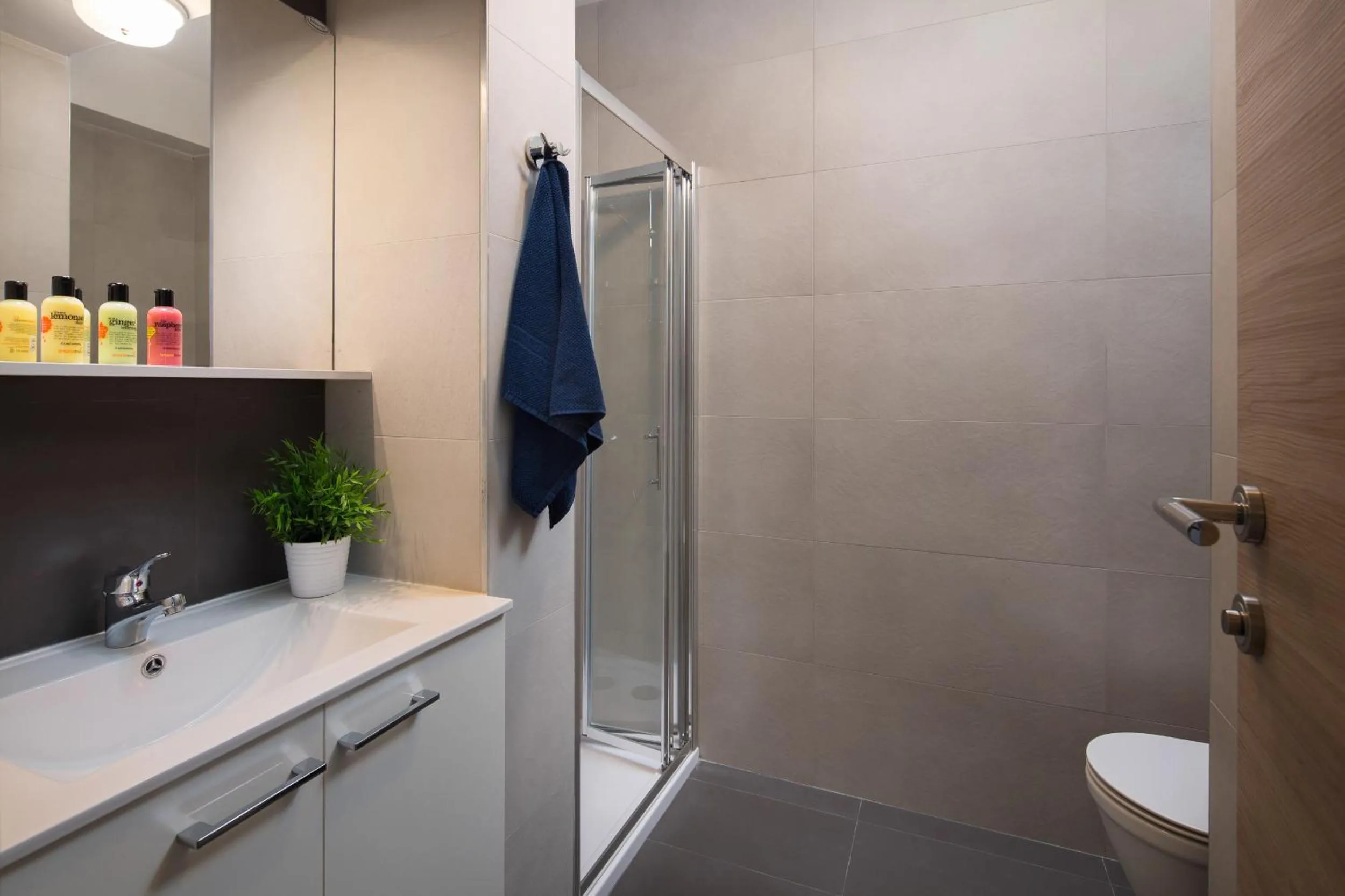 Bathroom in Apartment Zulijani Helis B5