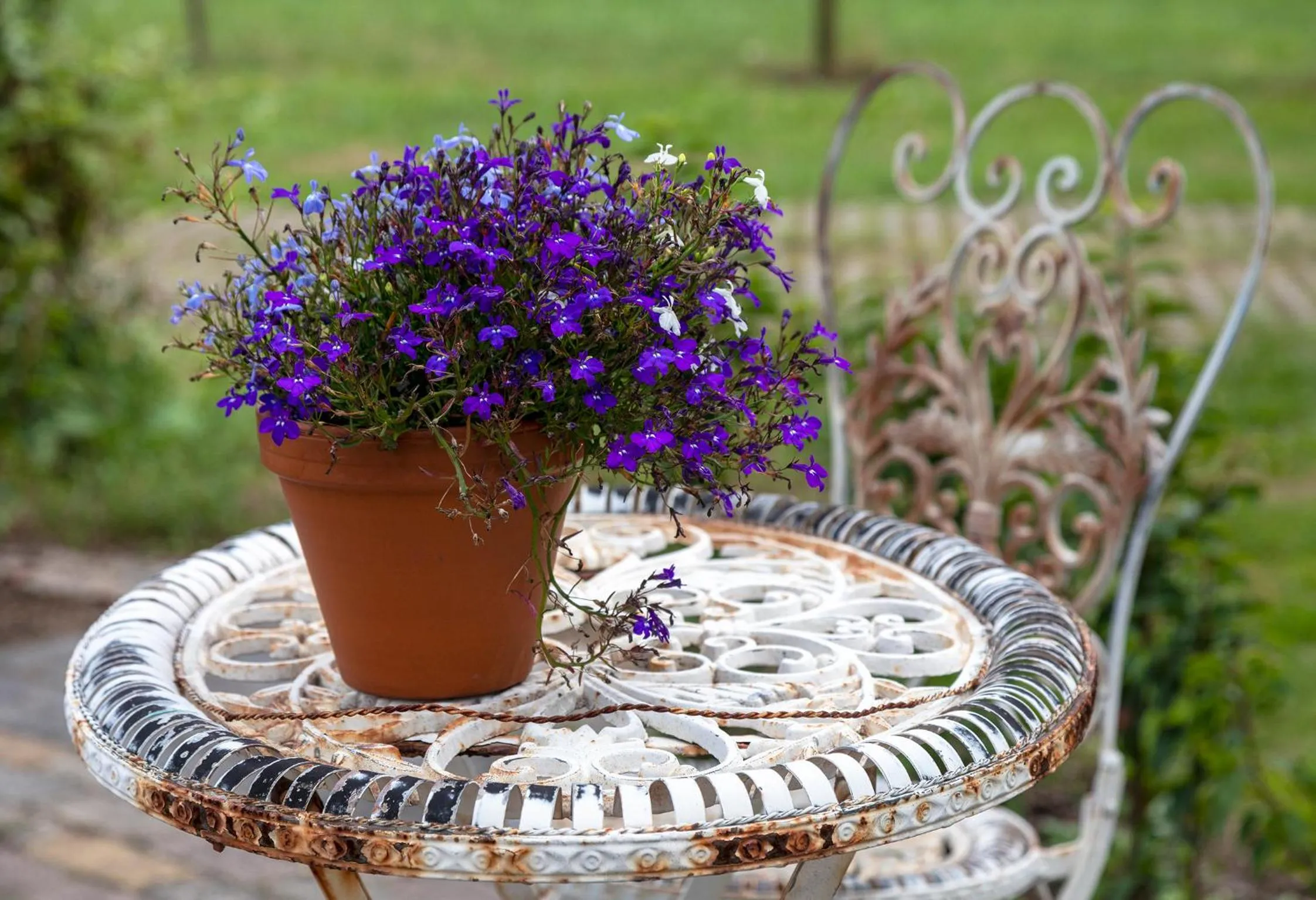 Decorative detail in B&B De Achterdiek