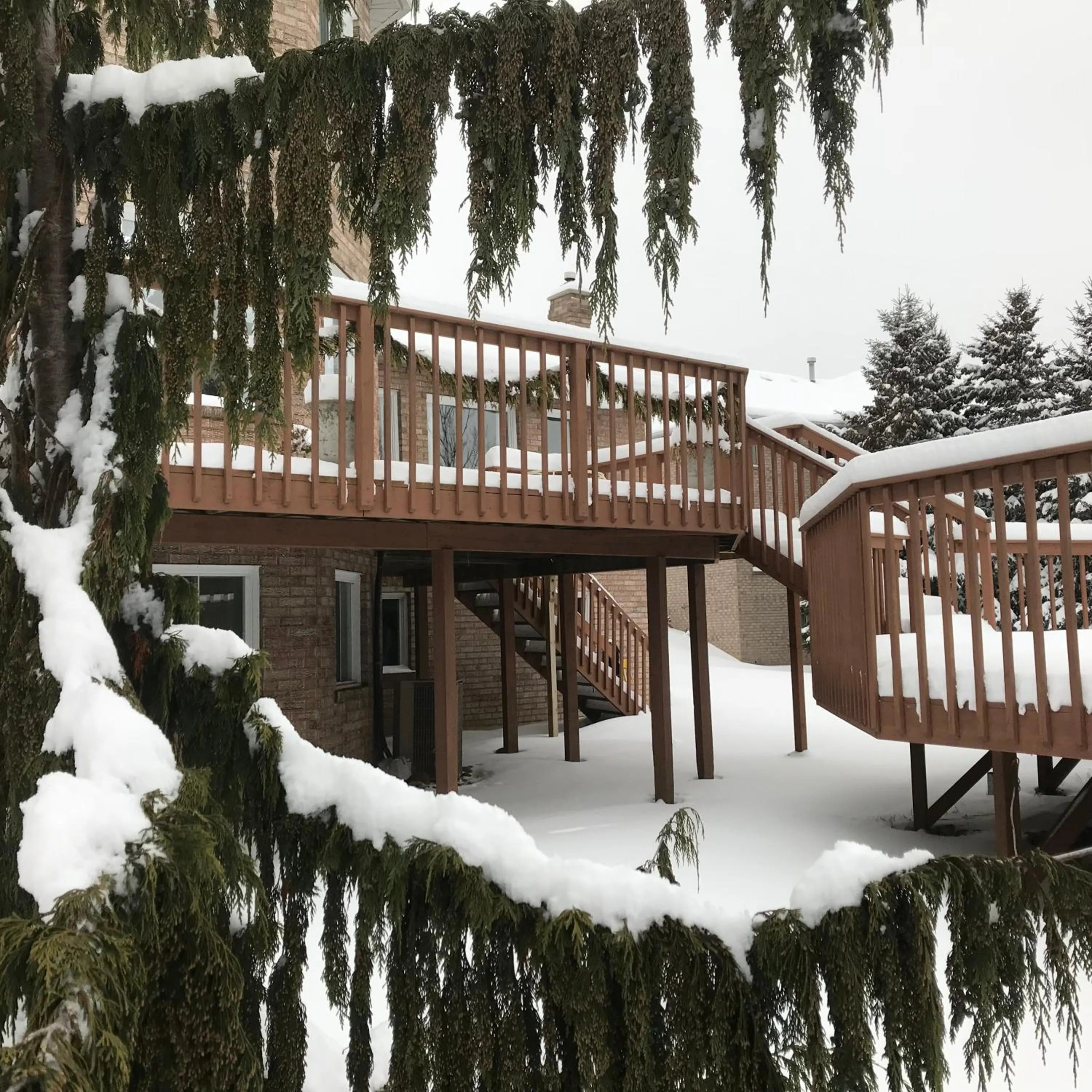 Patio in Molly's Retreat B and B