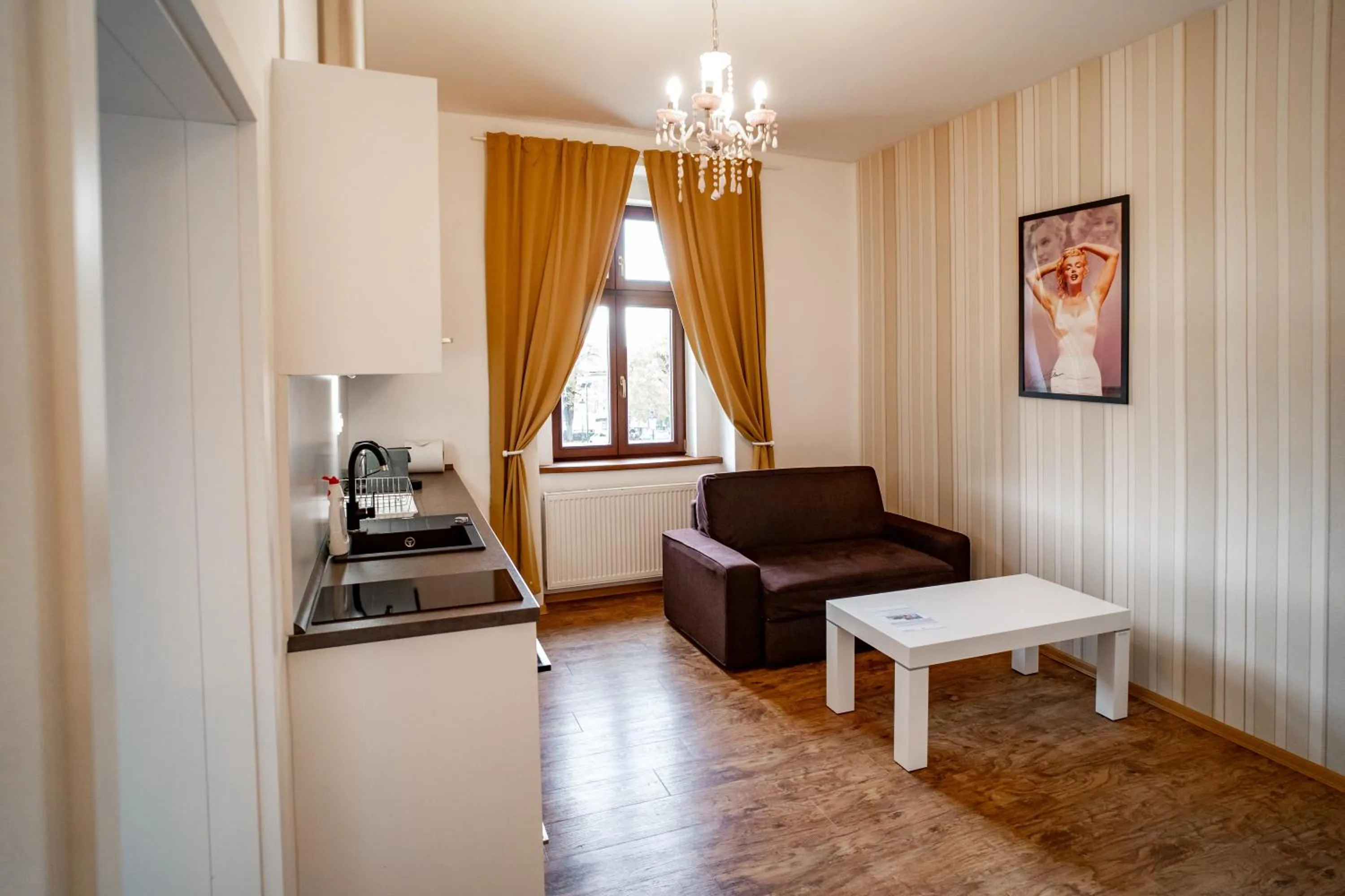 Coffee/tea facilities in Apartmany Pisek