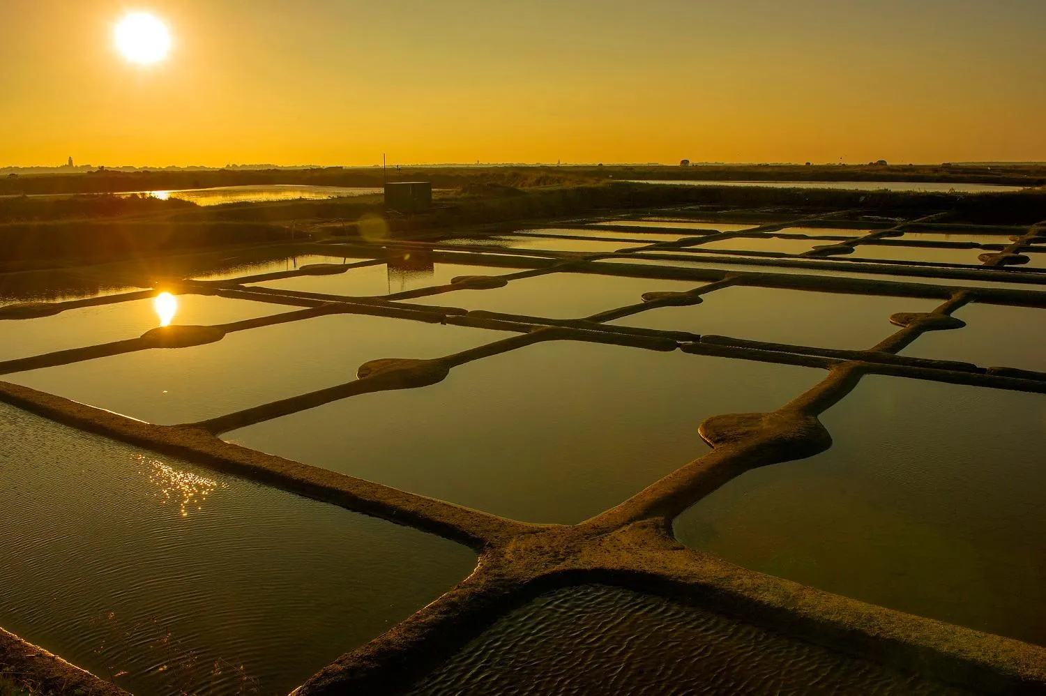 Other in Hôtel Miléade Les Pléïades La Baule