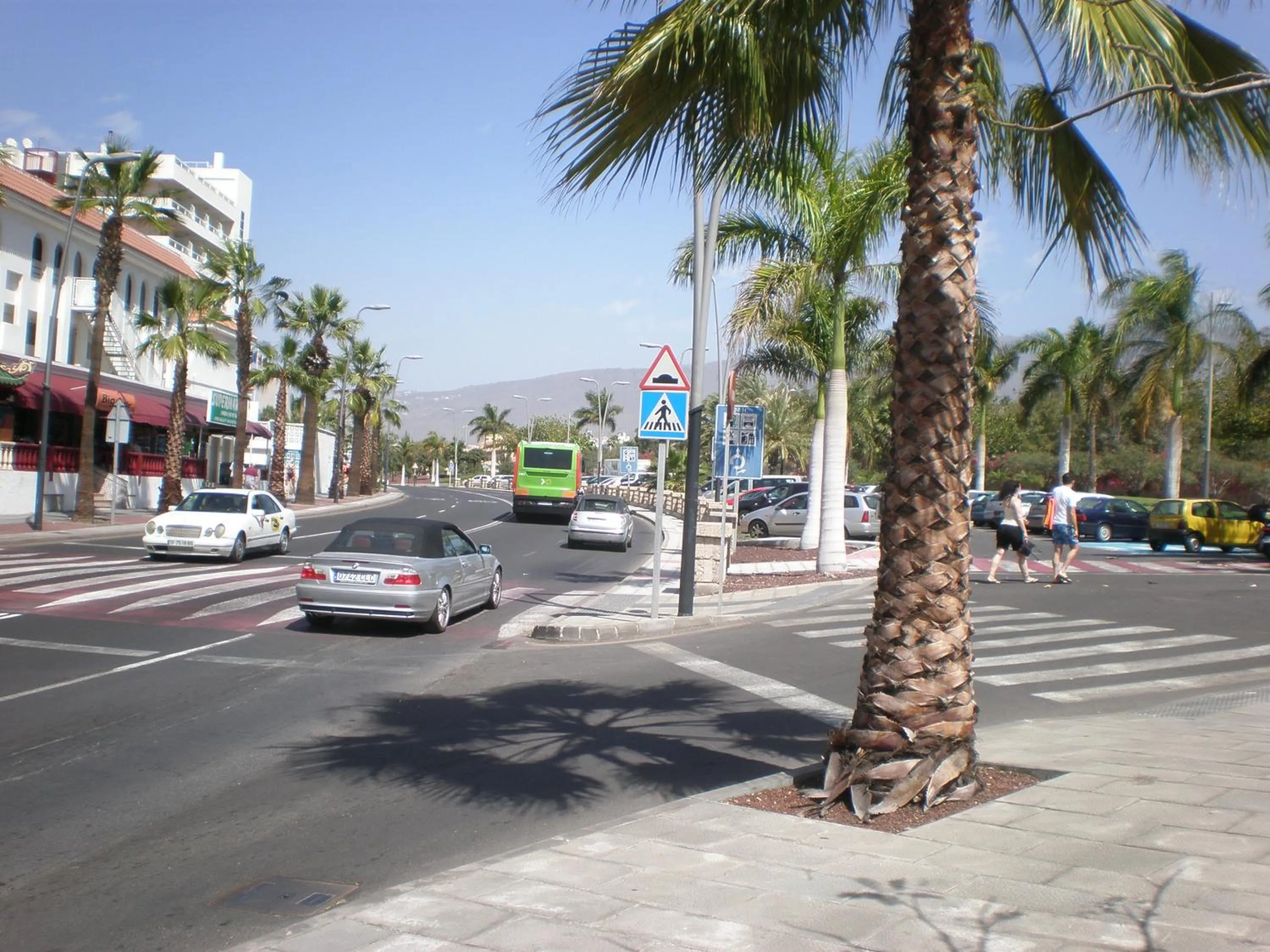 Other in Las Floritas