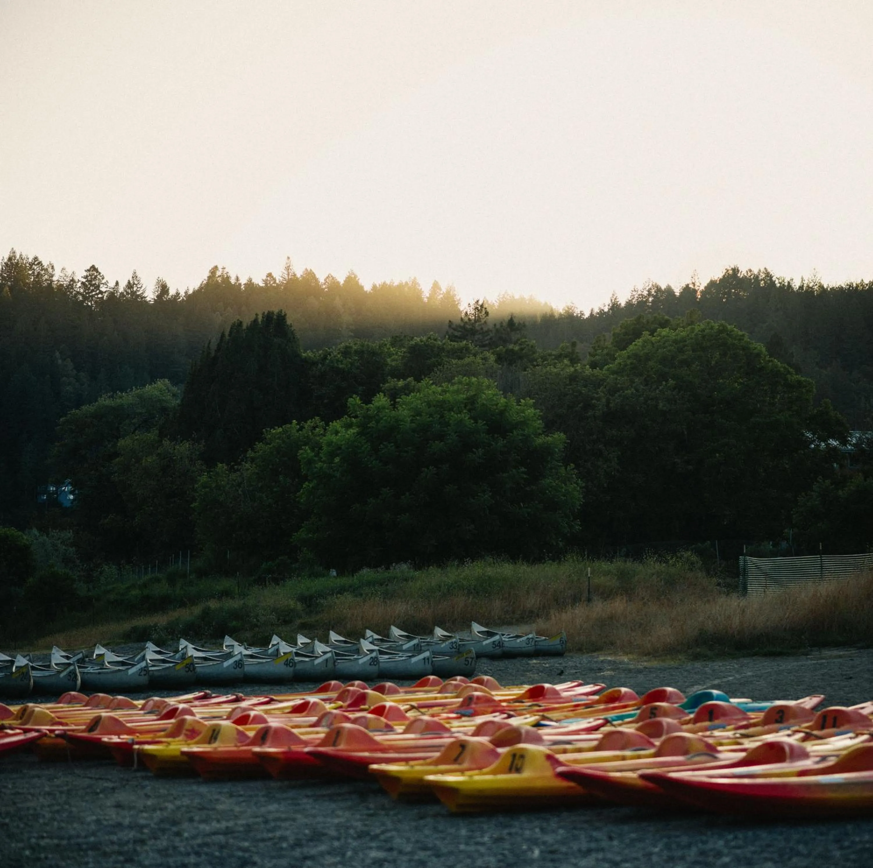 Canoeing in Johnson's Beach Cabins and Campground