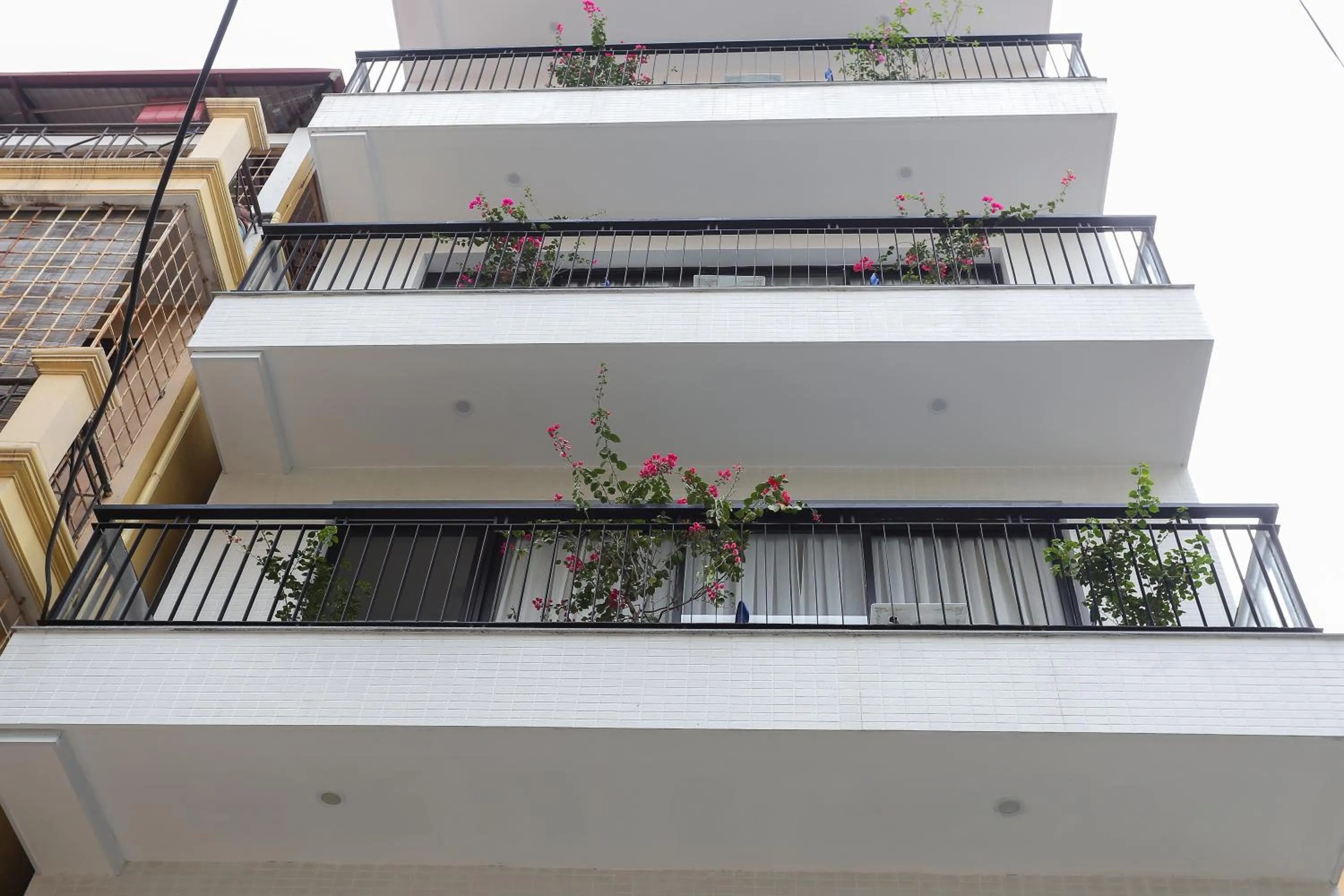 Property building in Quiet Hoang Quoc Viet Hotel & apartment