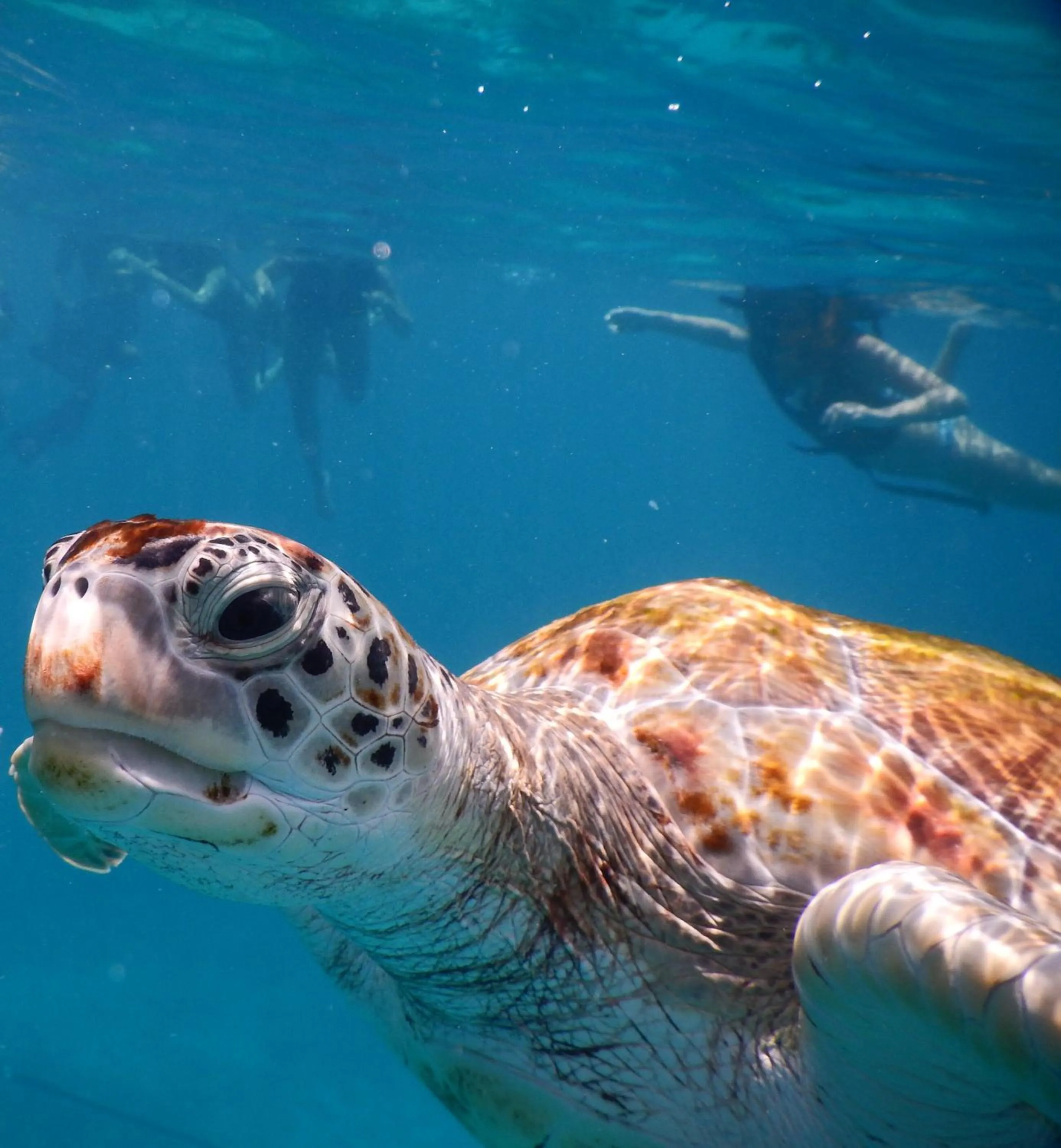 Fishing in Cozy Sea view Inn