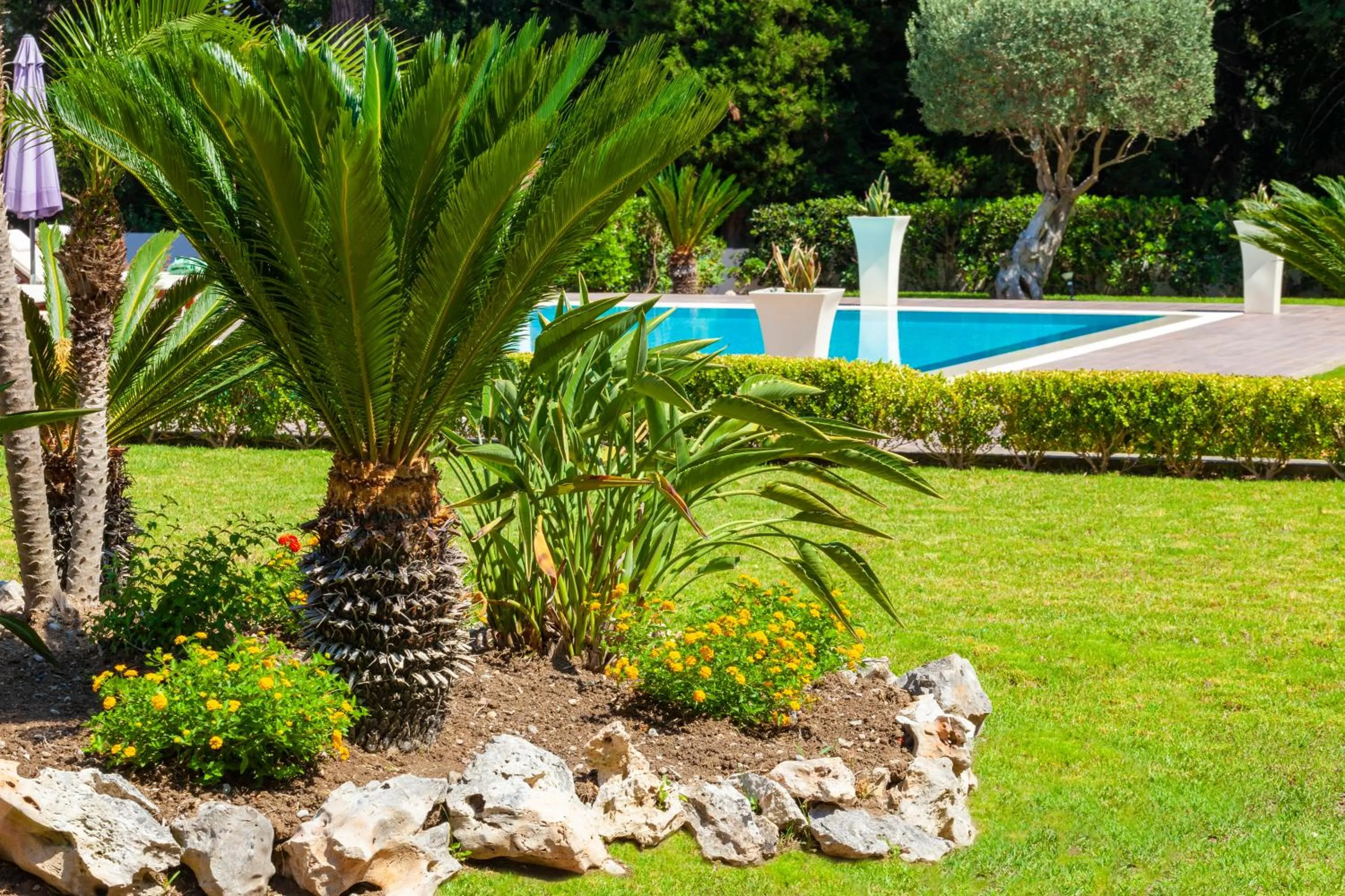 Garden in Bella Foresta Villa