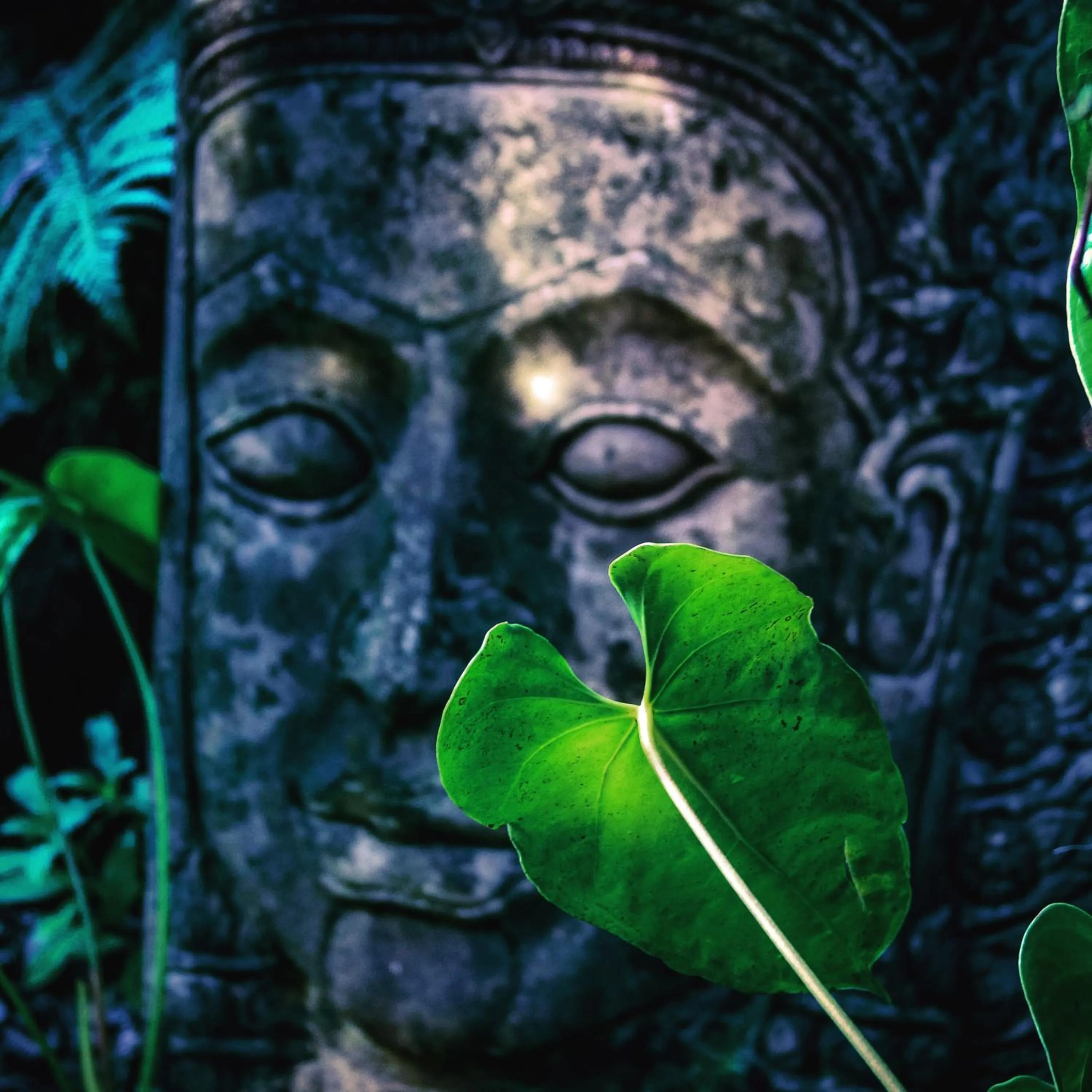 Garden in At the Craters Edge