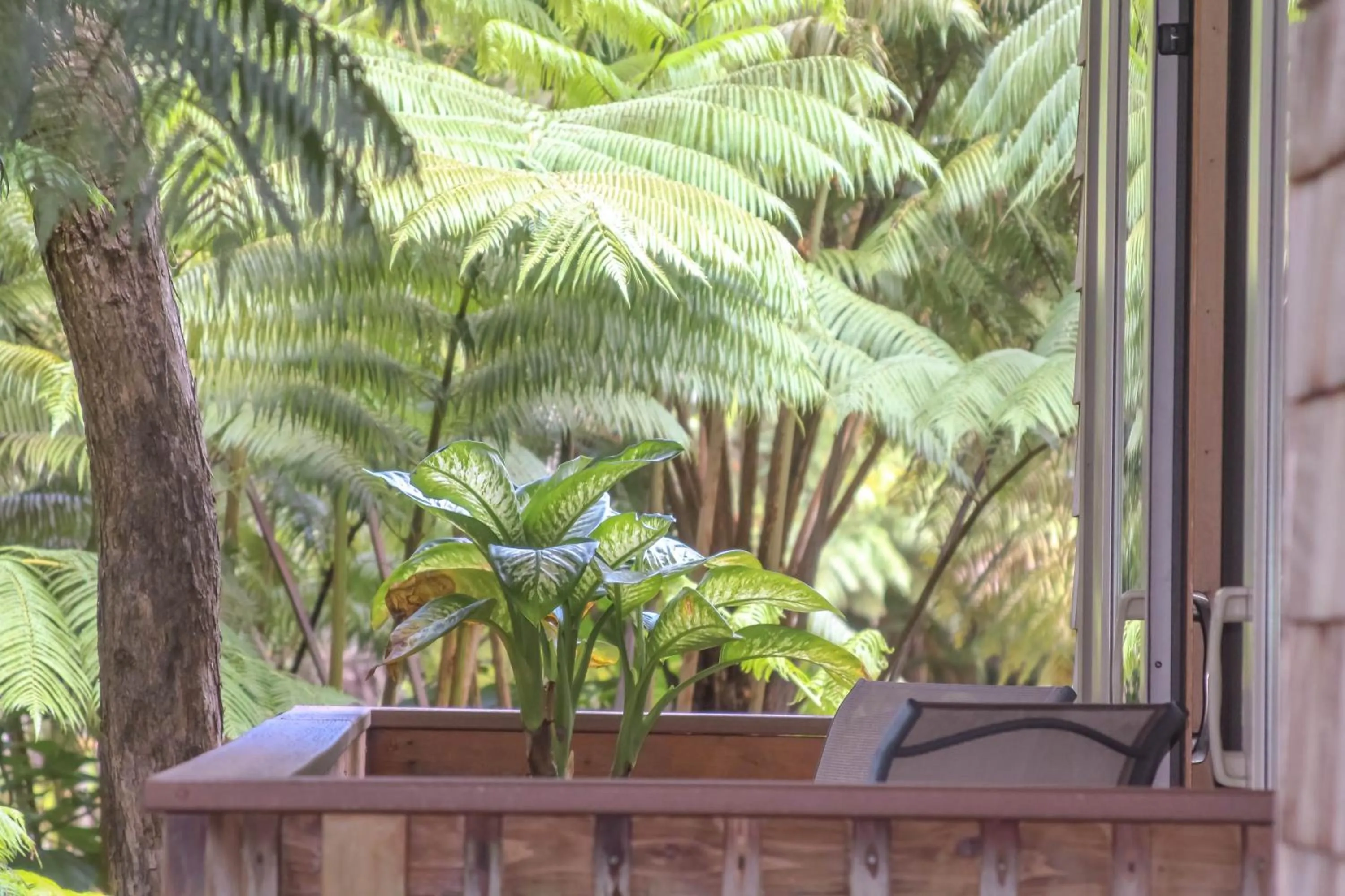 Balcony/Terrace in At the Craters Edge