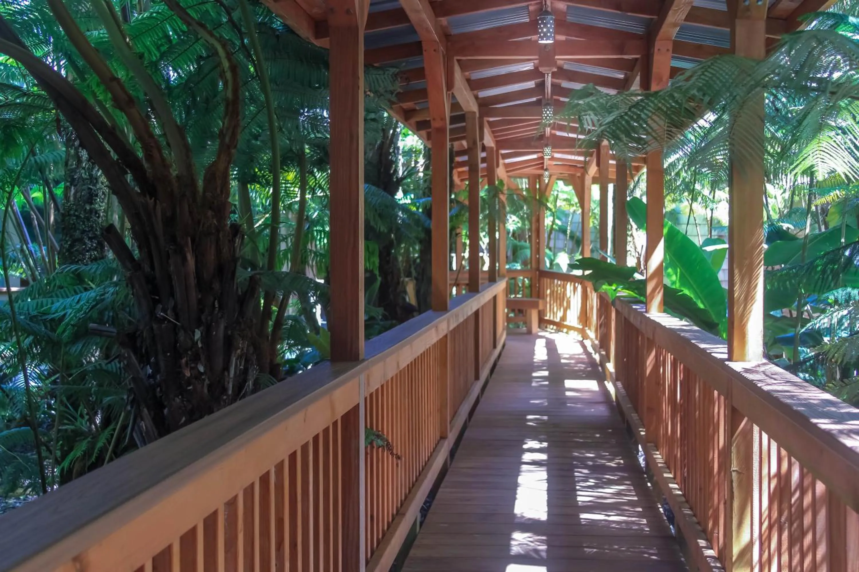 Garden view in At the Craters Edge