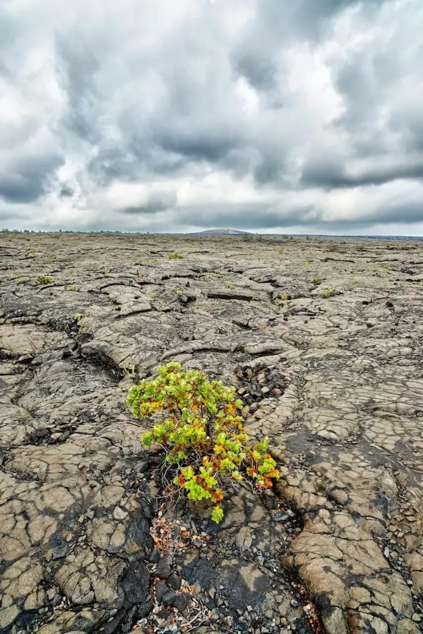 Hiking in At the Craters Edge