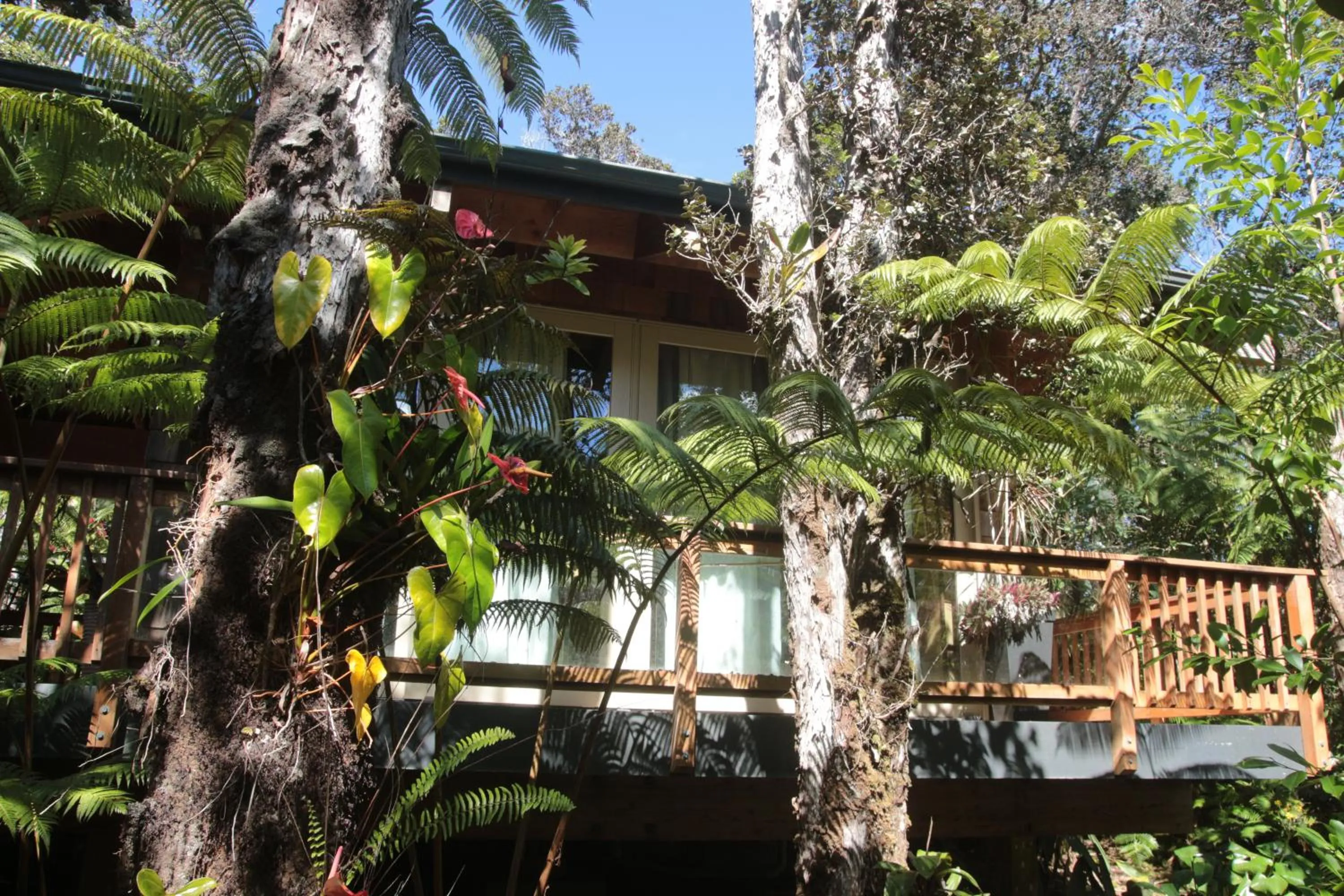 Property building in At the Craters Edge