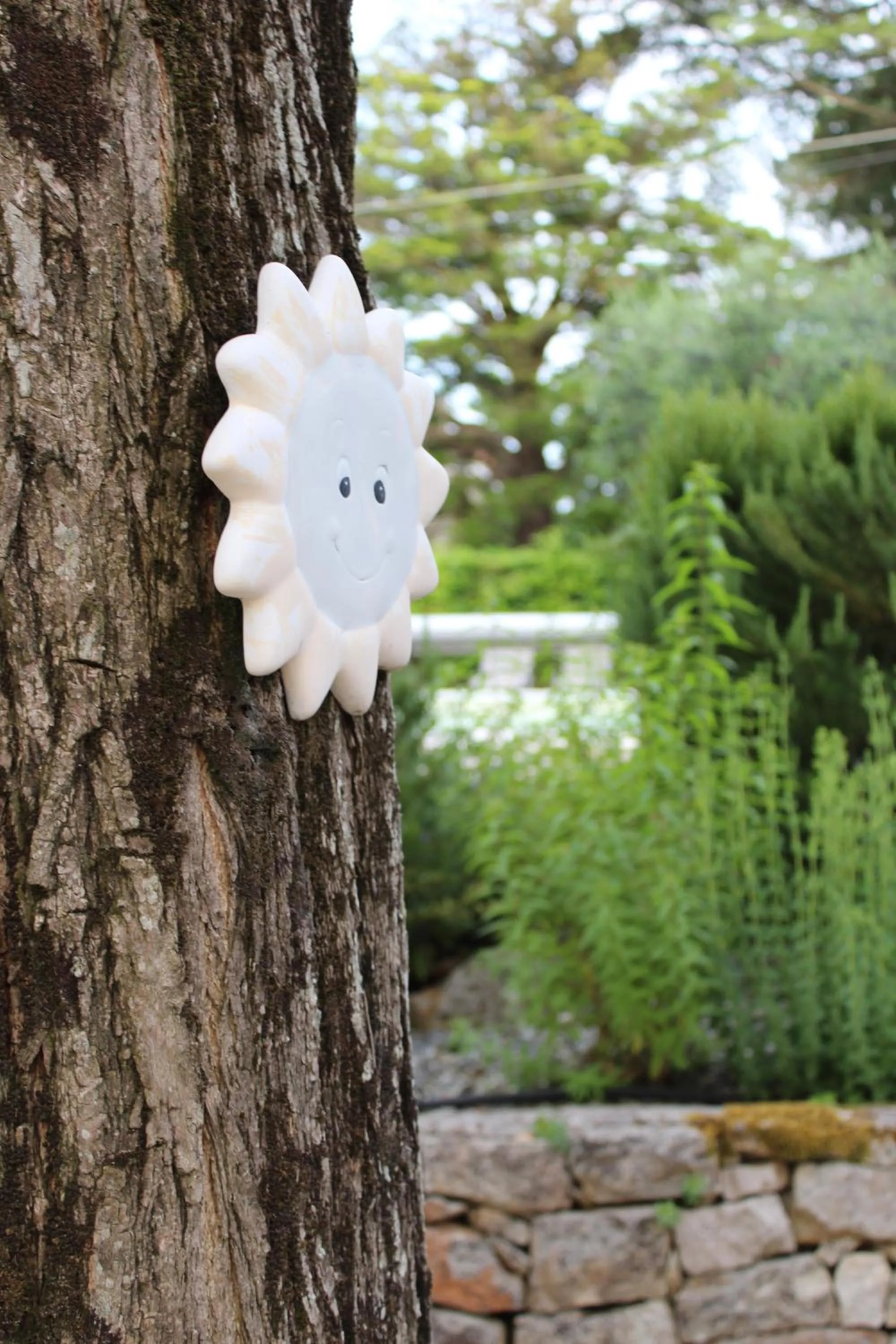 Garden in Domus Relax