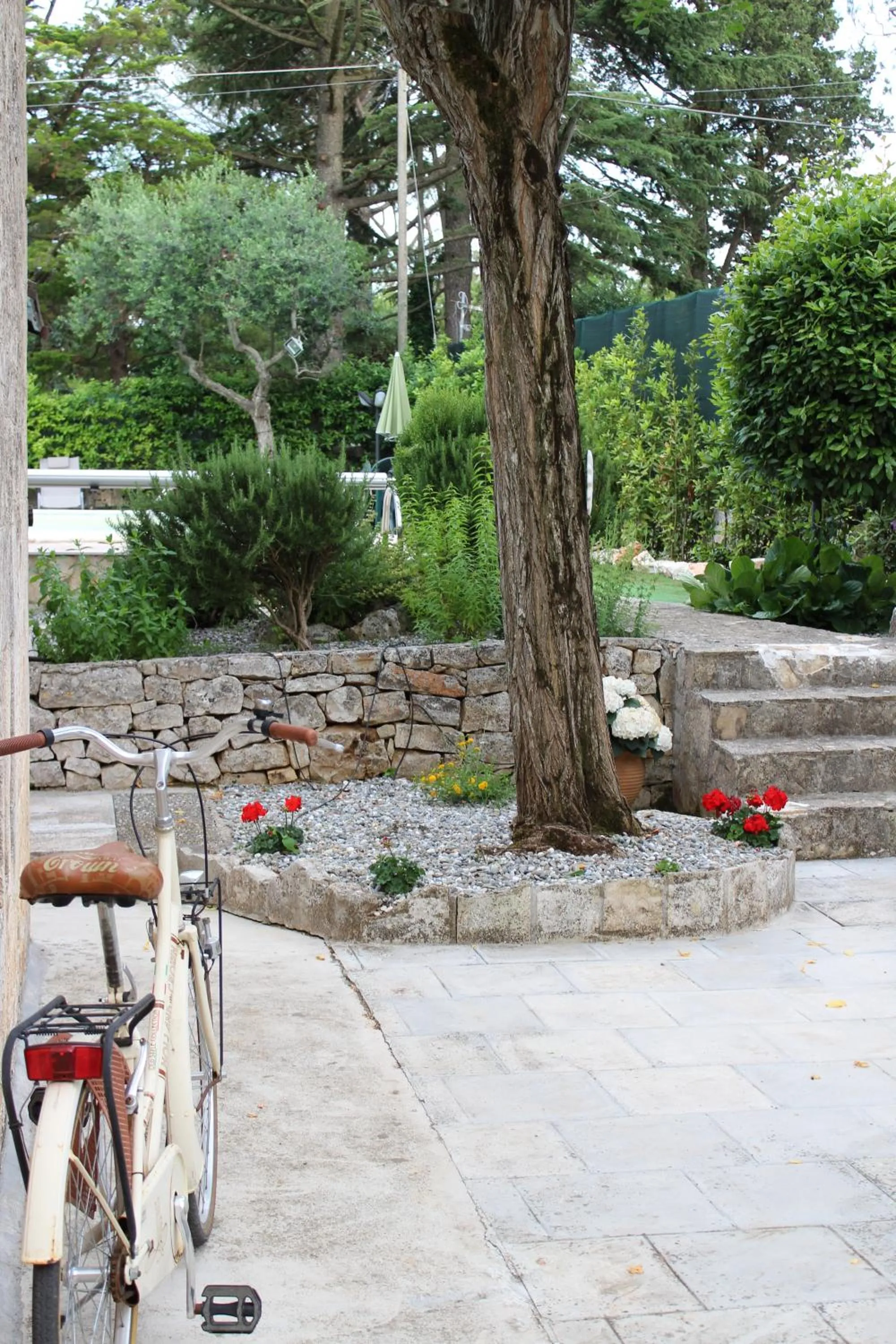 Garden in Domus Relax