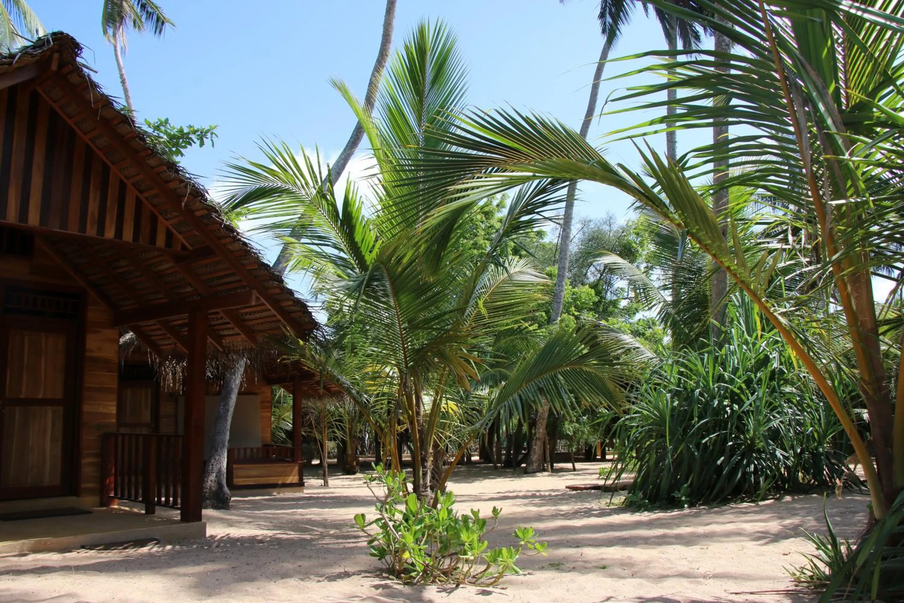 Garden in Shiva's Beach Cabanas