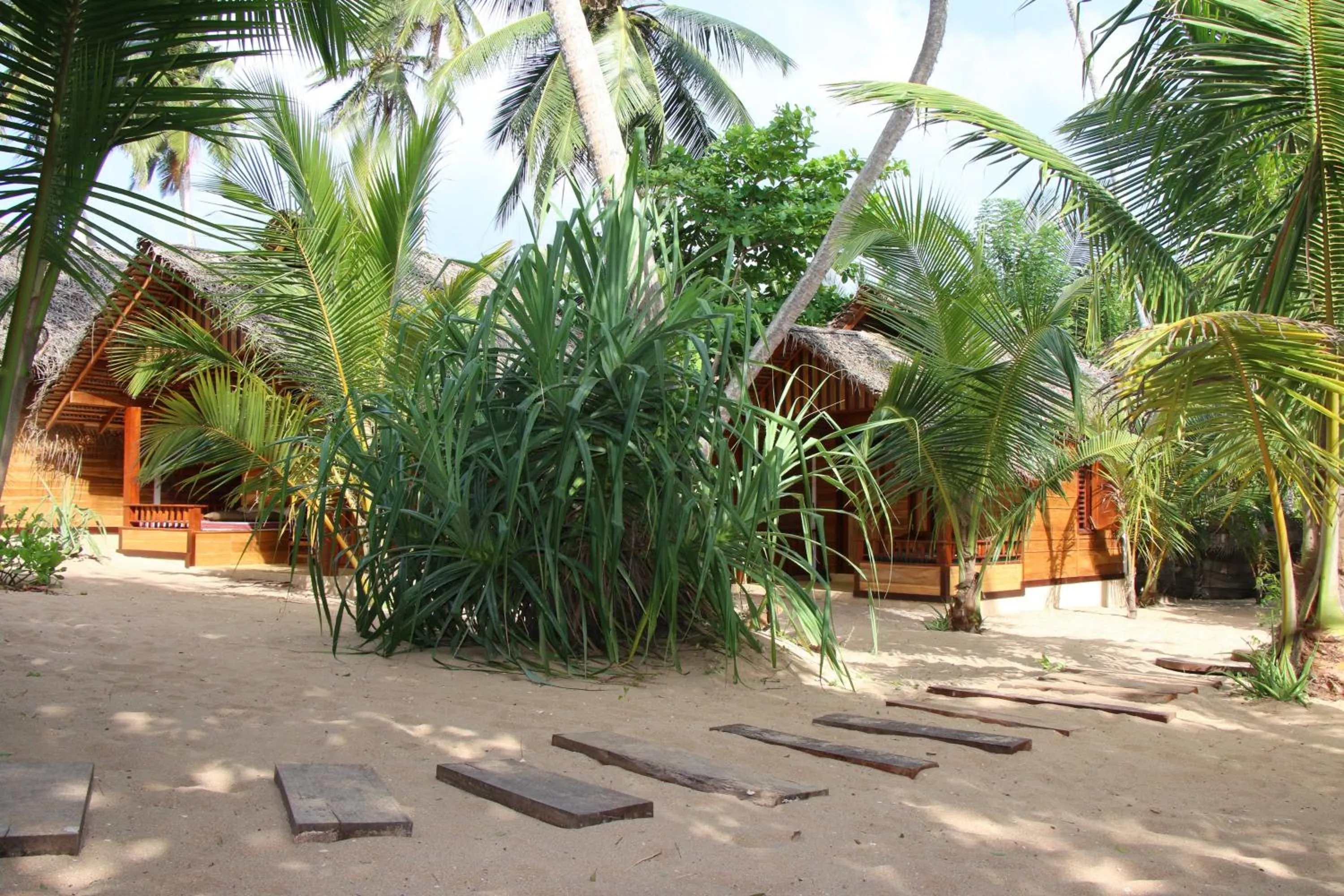Garden in Shiva's Beach Cabanas